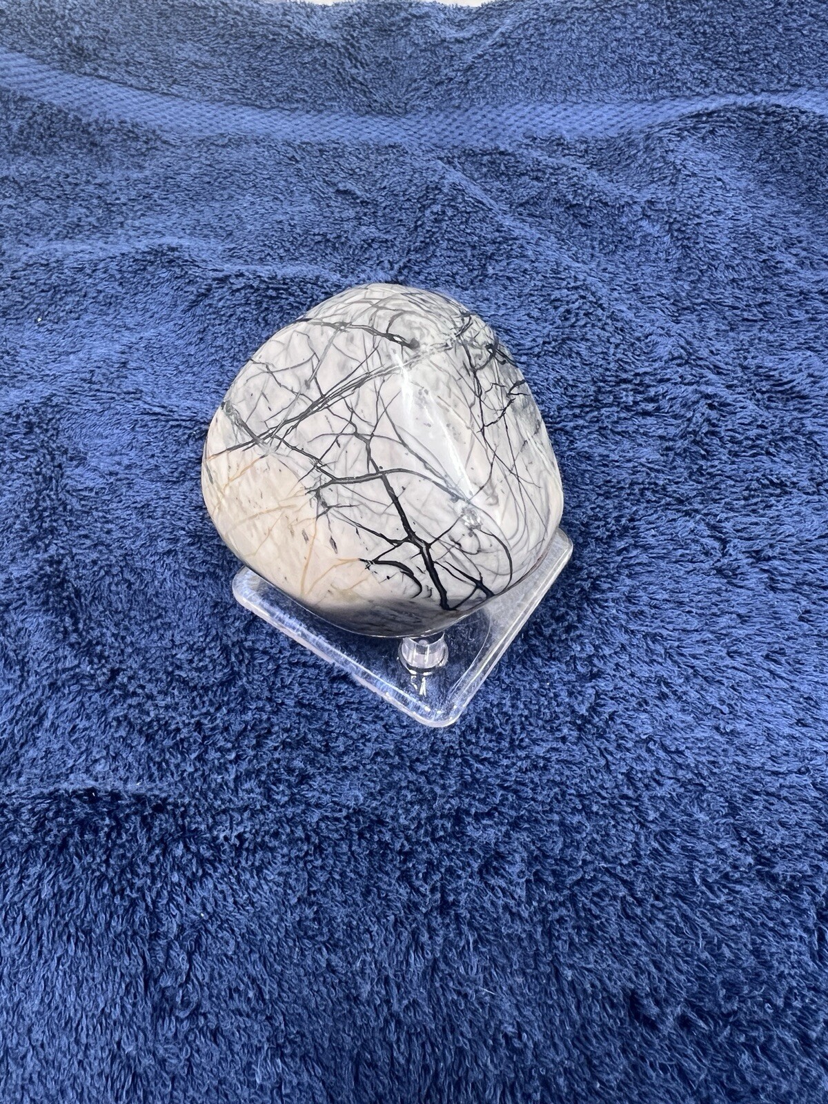 Spiderweb Picture Jasper Large Palm Display Stone Polished 450 Grams (~1 Lb)