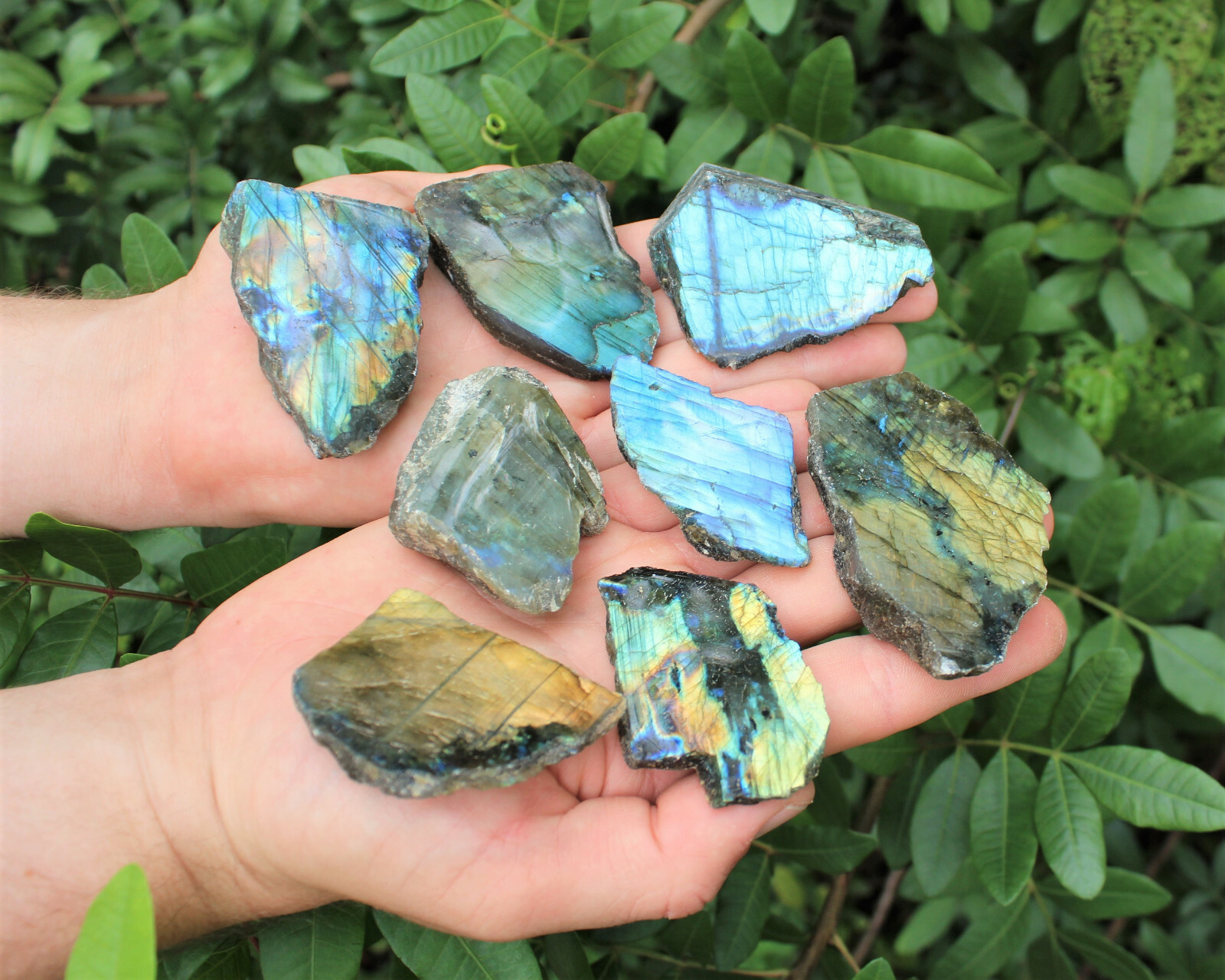 1 lb Wholesale Lots Natural Labradorite Slab / Slice Polished Face 8 – 14 Peices
