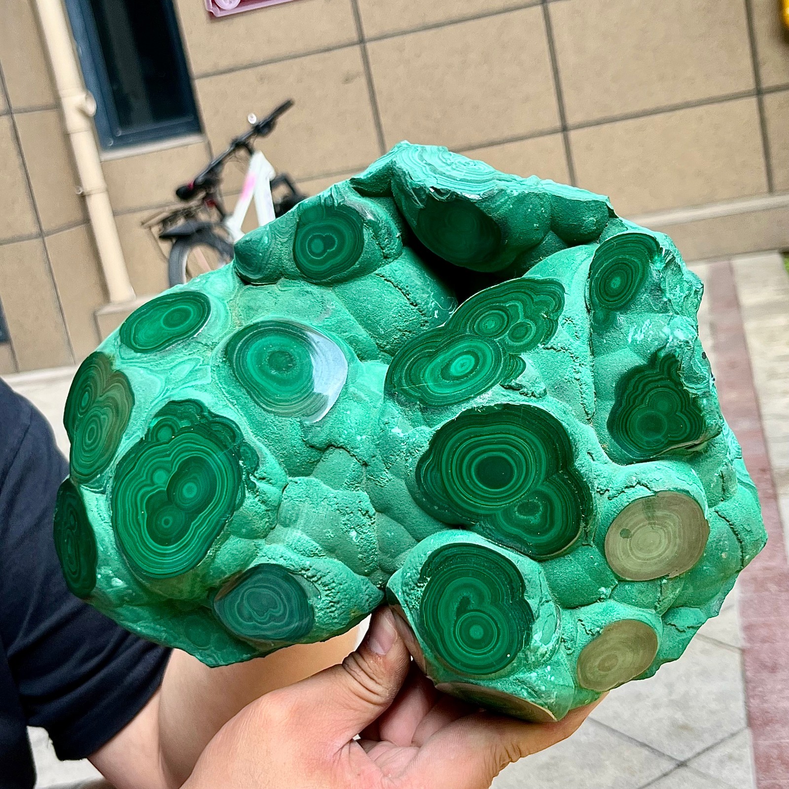 15.6 lb Congo Malachite Eye Pattern Partially Polished Freeform Raw Back Mineral