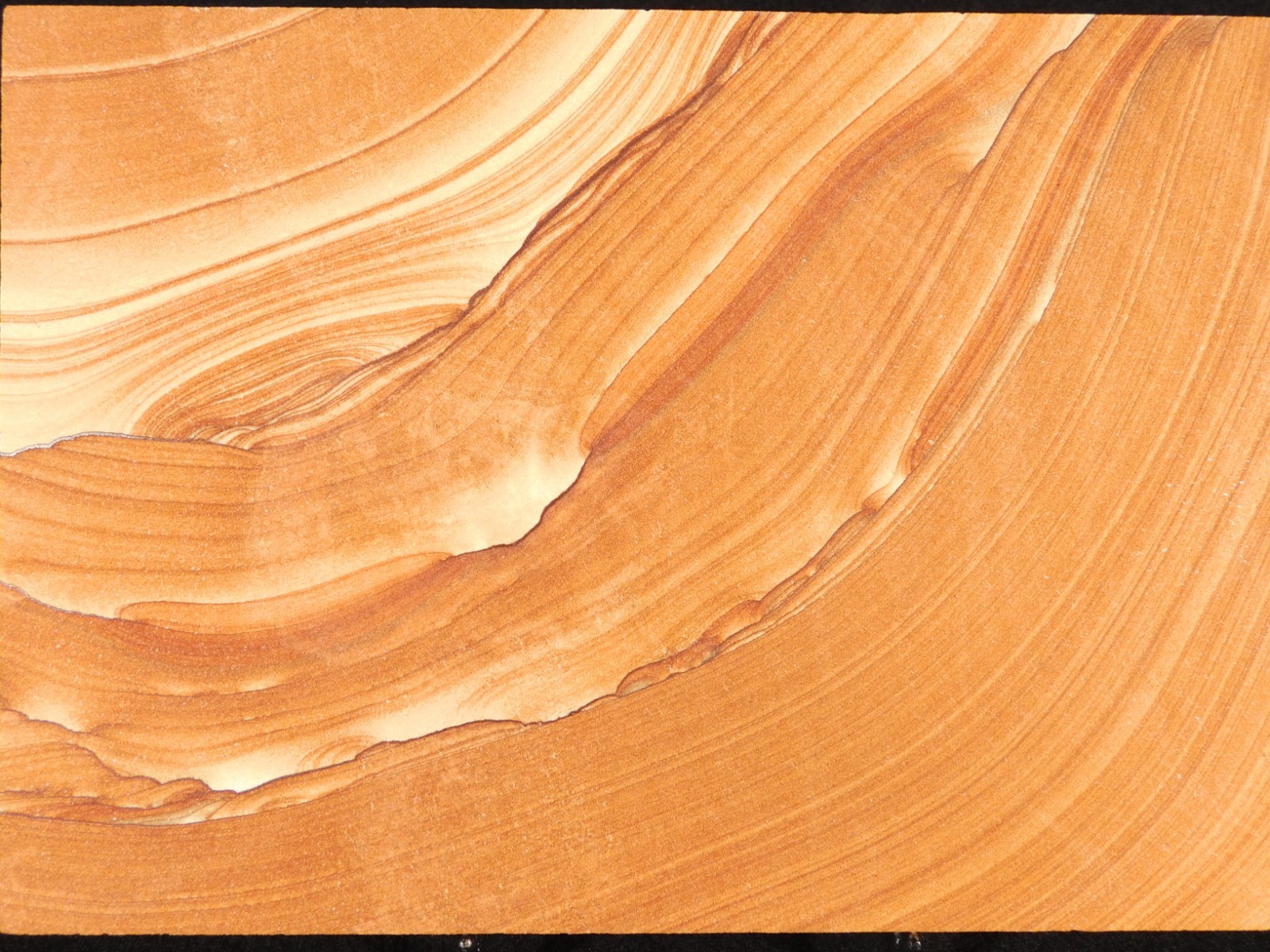 wOw! LARGER PICTURE Stone or SANDSTONE Slice/Slab with Display Stand Utah 541gr