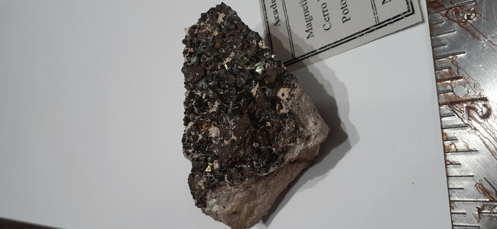 2 1/2″ X 2 1/4″ Magnetite 2 sided Display Specimen, Potosi, Bolivia – NYS Museum