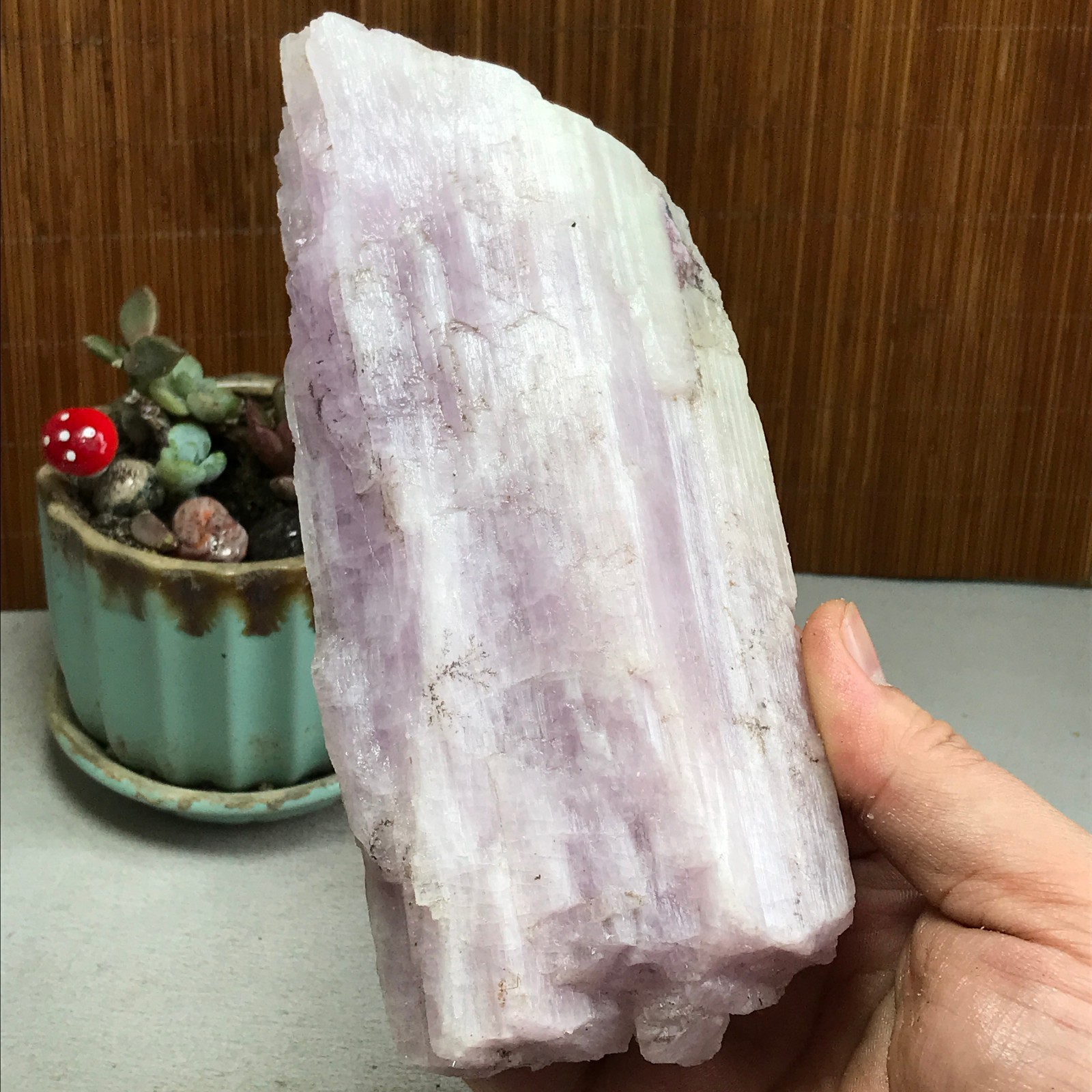 170-78-40mm NATURAL ROUGH KUNZITE PINK SPODUMENE CRYSTALS 830g A4613