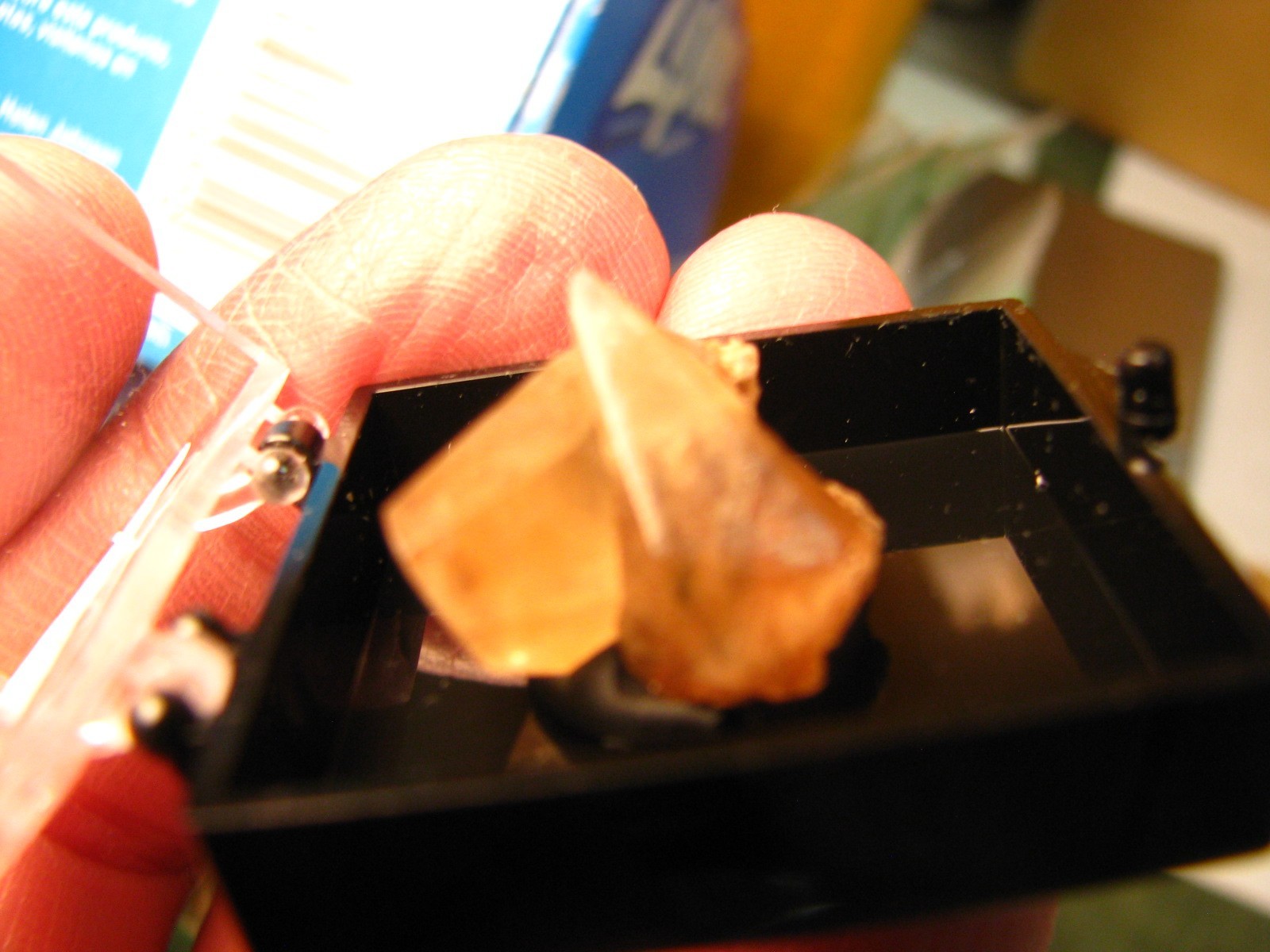 GOLDEN DOGTOOTH CALCITE CRYSTALS THUMBNAIL IN CASE MARBLEHEAD QUARRY OHIO #037