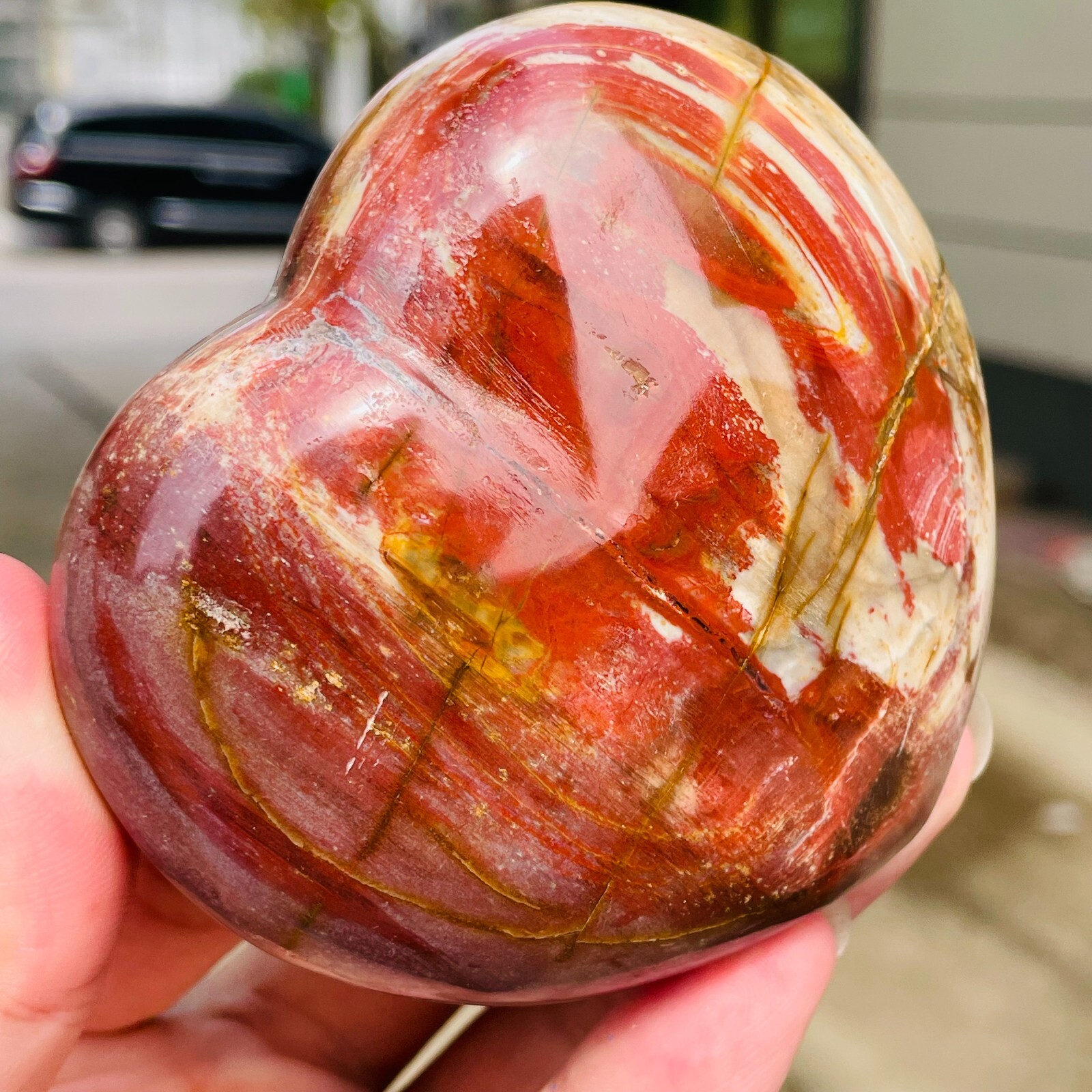 364g Natural Petrified Wood Jade Quartz Crystal Fossil Heart Shape Specimen