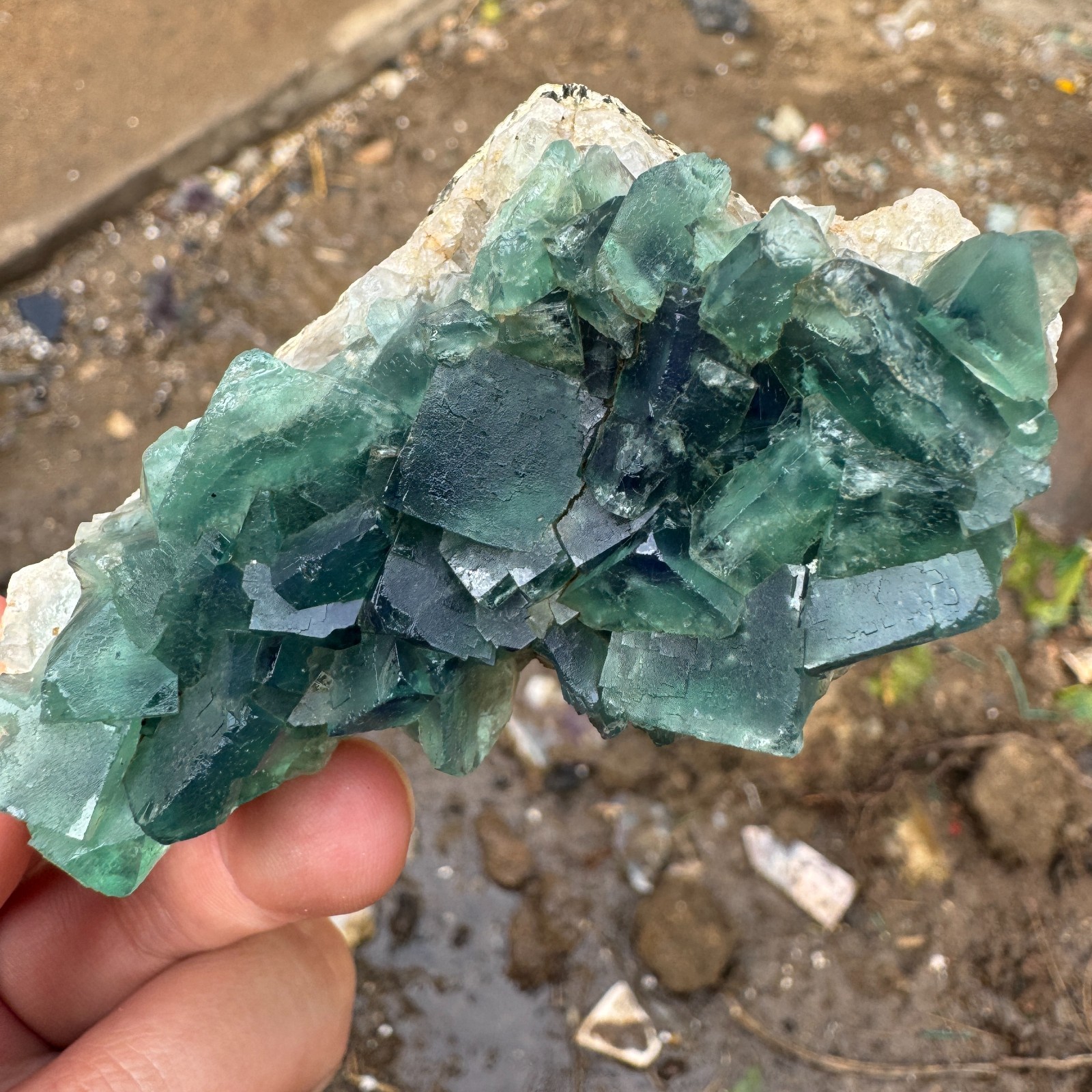 155G Natural cubic green fluorite crystal cluster rough mineral specimen Healing