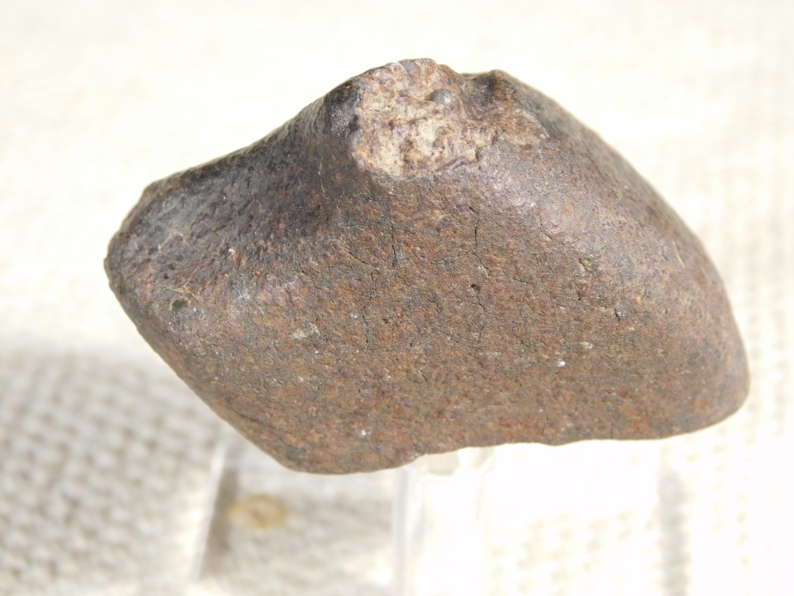 Stony N.W.A. METEORITE 100% Natural FELL in Libya 98.4gr