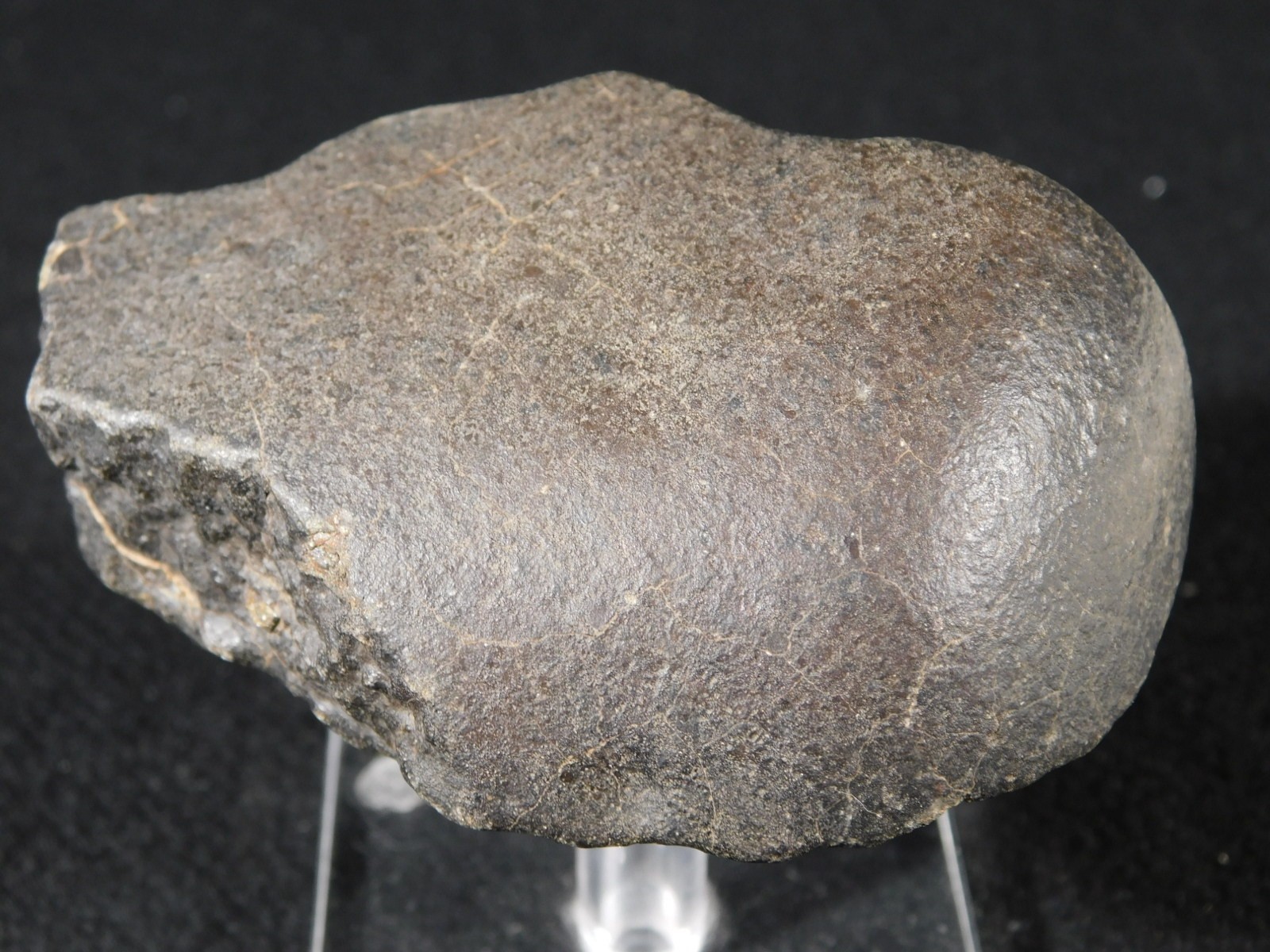 wOw! Larger! Stony METEORITE with DARK Silky Fusion Crust! FELL in Libya 219gr