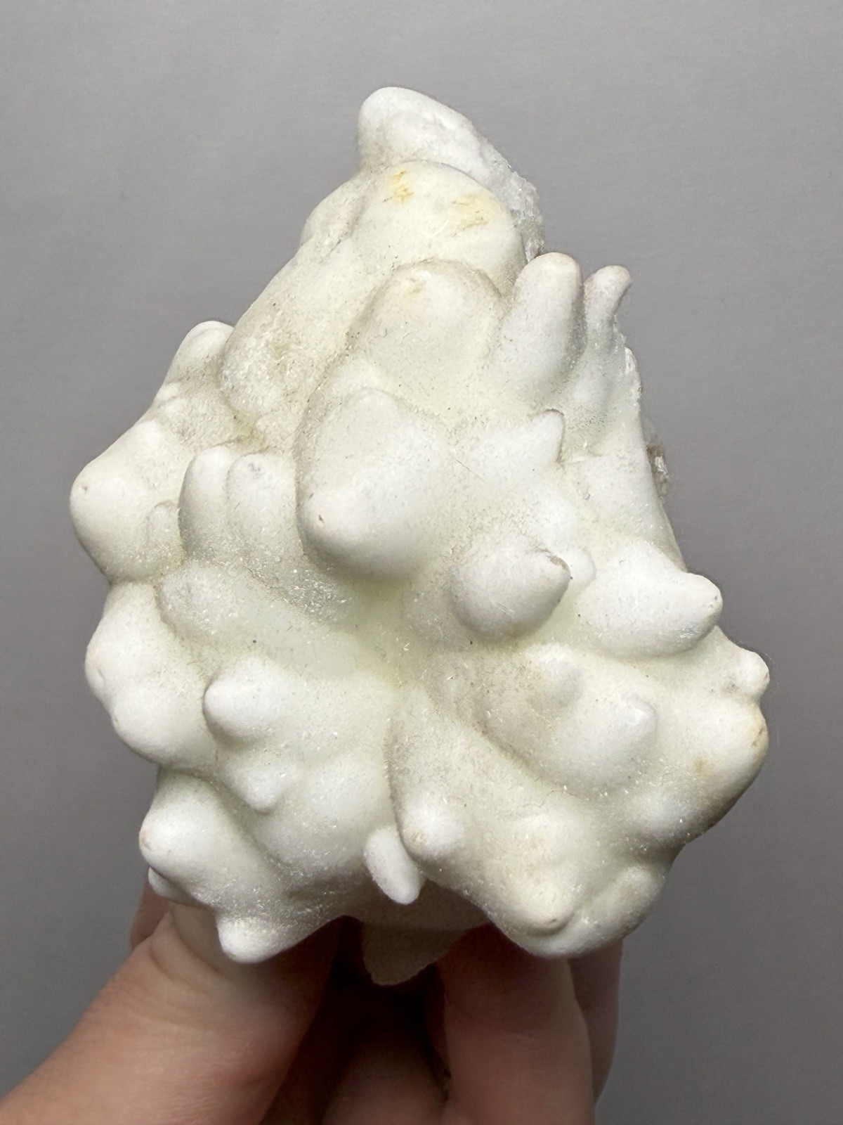 Superb White Flos Ferri Aragonite “Flower of Iron” | Lom Vitošov, Czech Republic