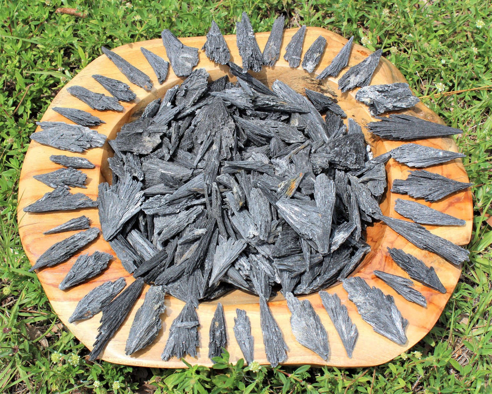 3 LARGE Black Kyanite Blades Premium Quality Chunky Natural Rough Wand 2″ – 3″