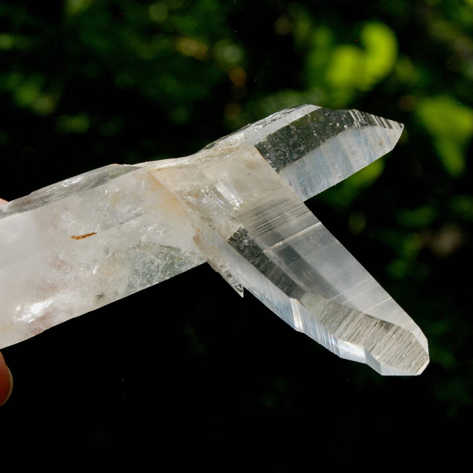 Lemurian Quartz Crystal Starbrary – 4in 106g Tantric Twin Flame Record Keeper, C