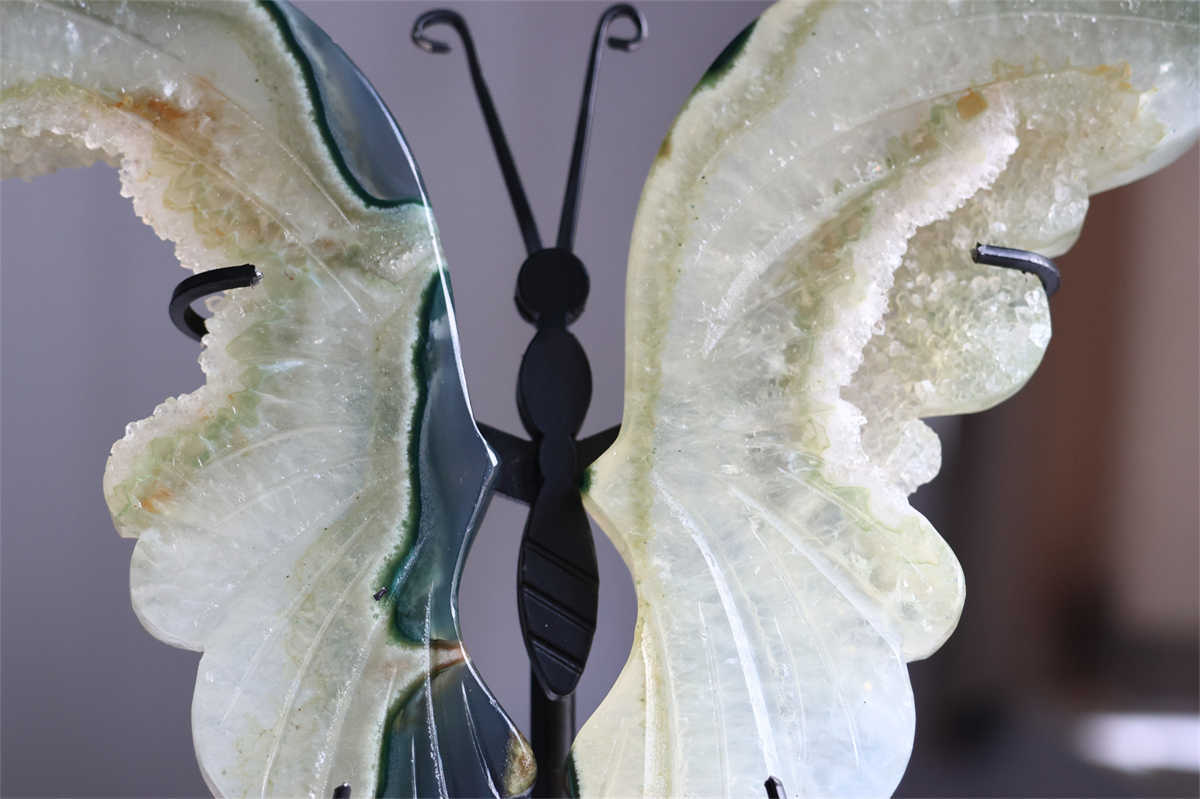 630g Natural Geode Agate Carved Butterfly Wing Reiki Crystal Decor Gift + Stand