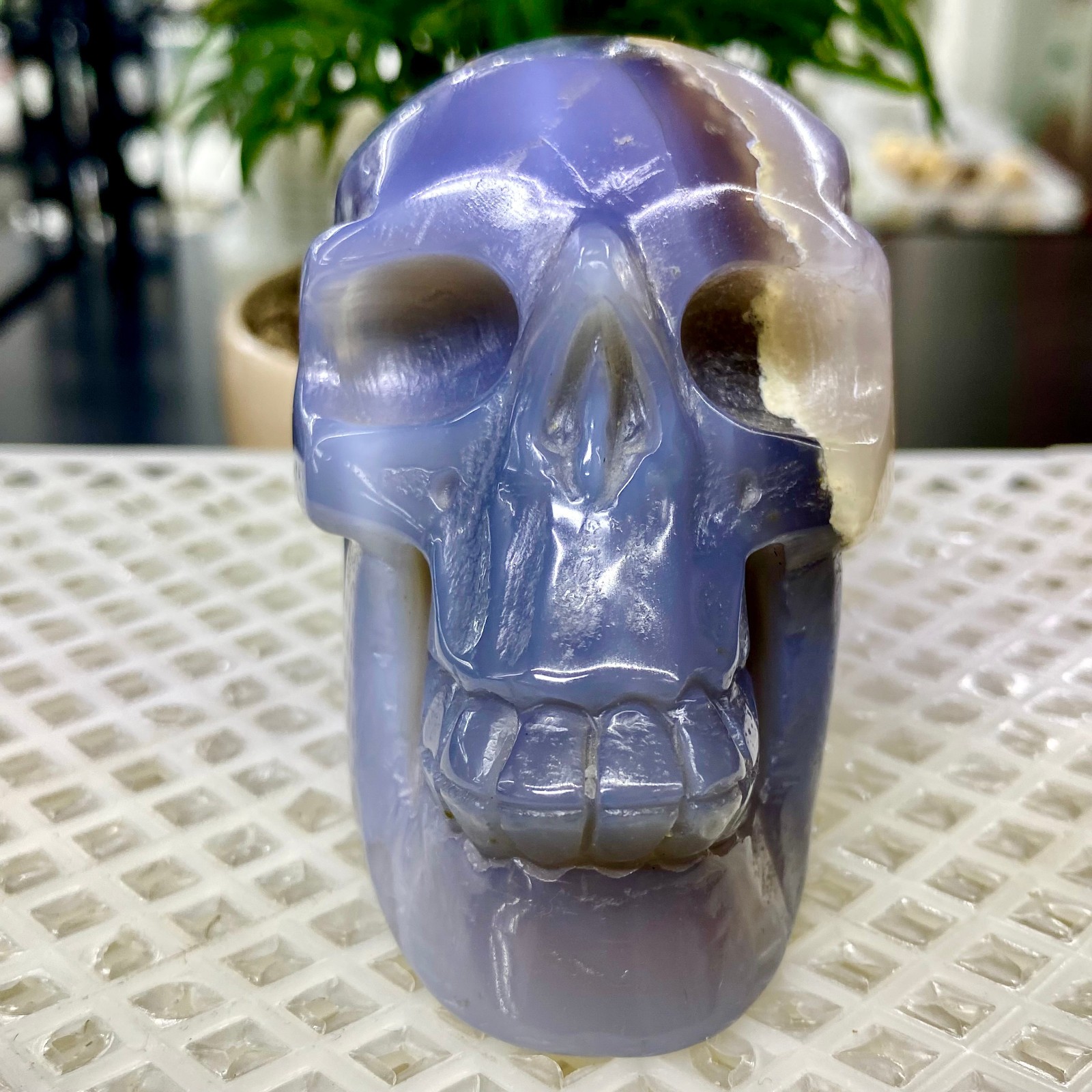465G Natural Crystal Rare Banded Blue Flower Agate Skull Carving
