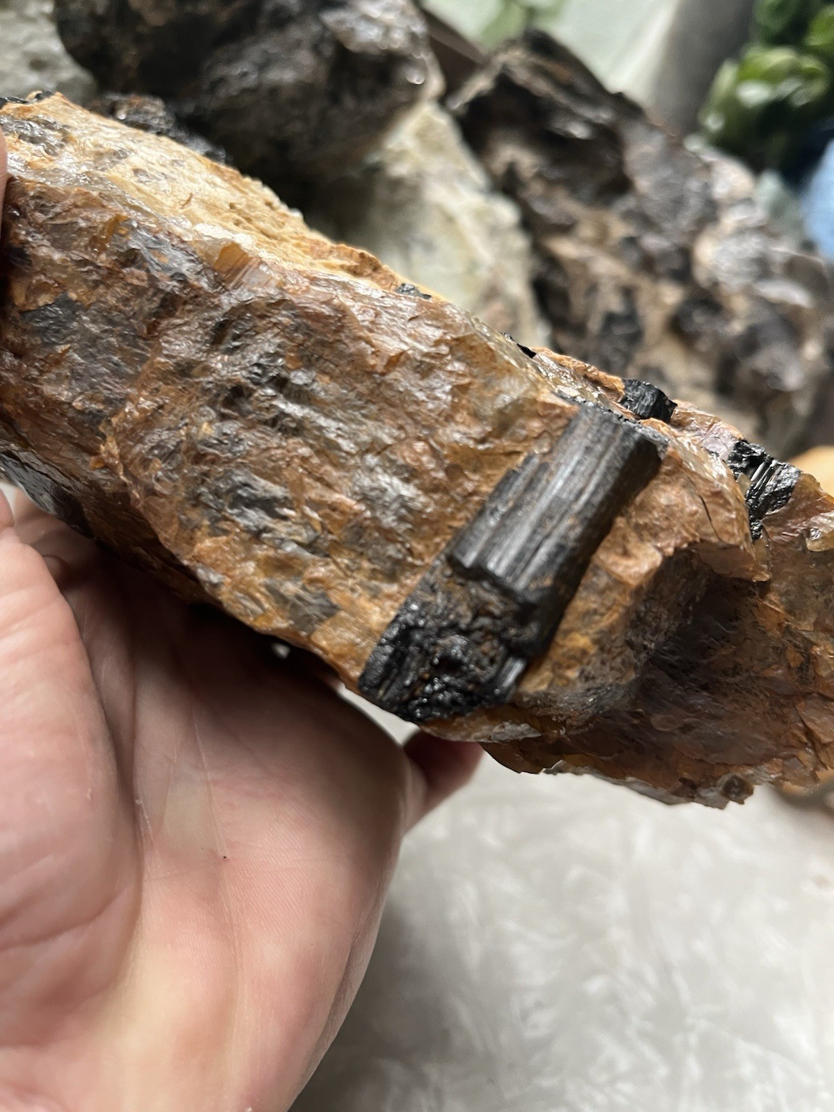 HUGE 5lb Black Tourmaline Schorl Crystal Maine USA Locality Iron Oxidized Quartz