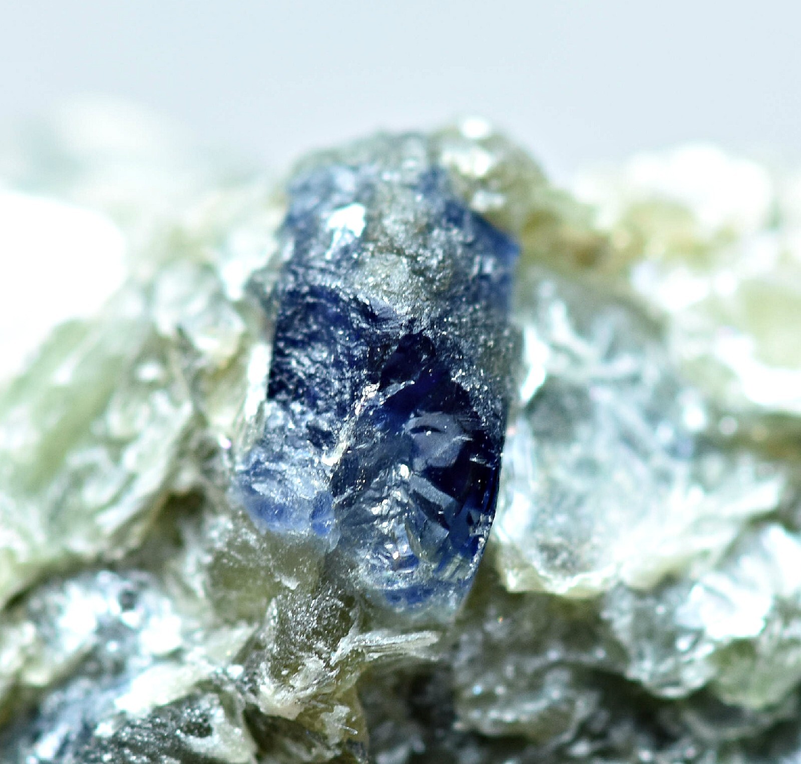 179 Gram Rare Dravite Tourmaline Crystals with Sapphire Crystals On Mica Matrix