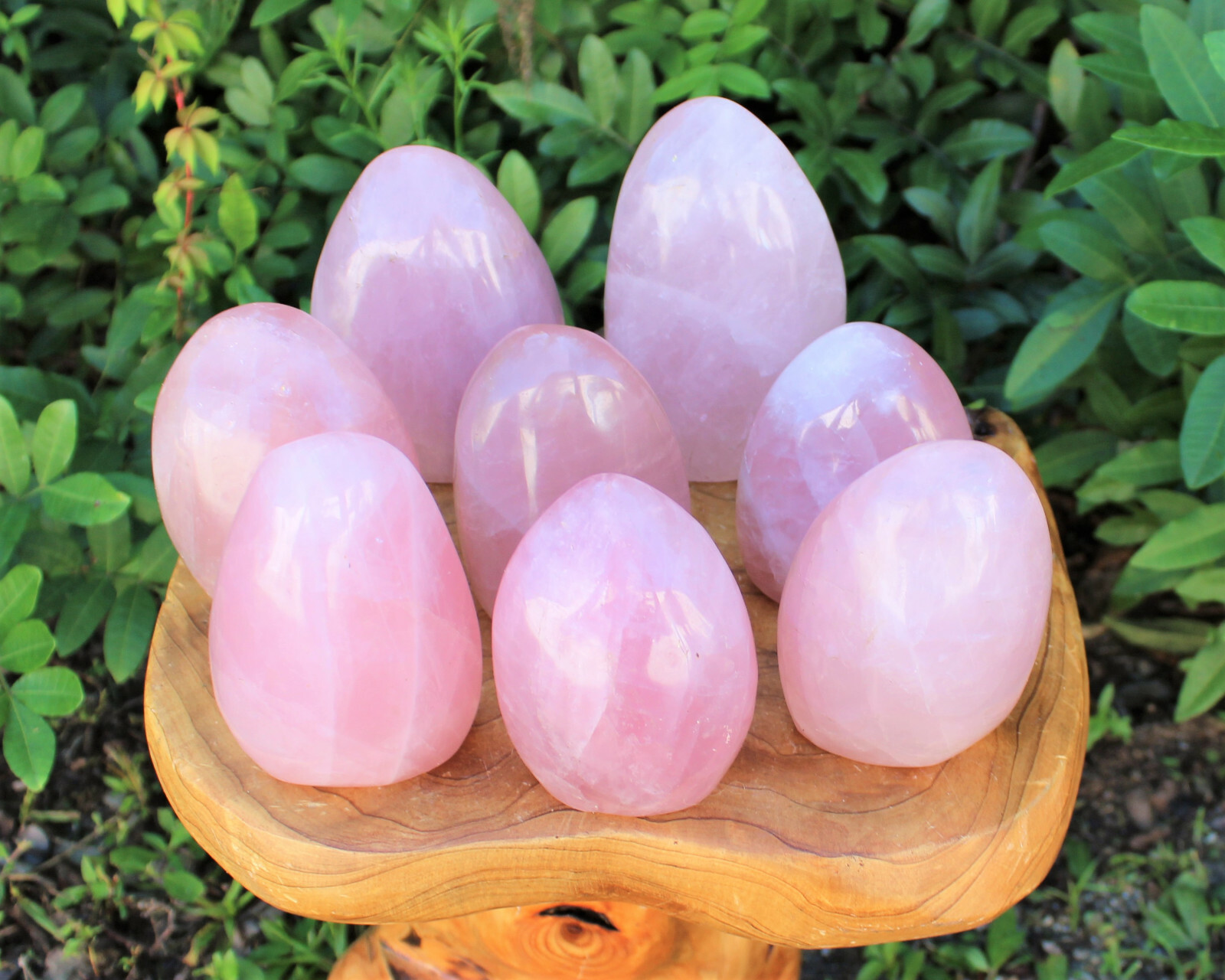 LARGE Polished Rose Quartz Freeform: Cut Base Free Standing Display Specimens