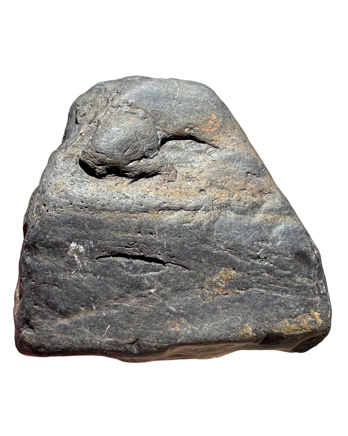 1.5 LB Magnetite Iron Ore schist rock rough specimen from Arizona