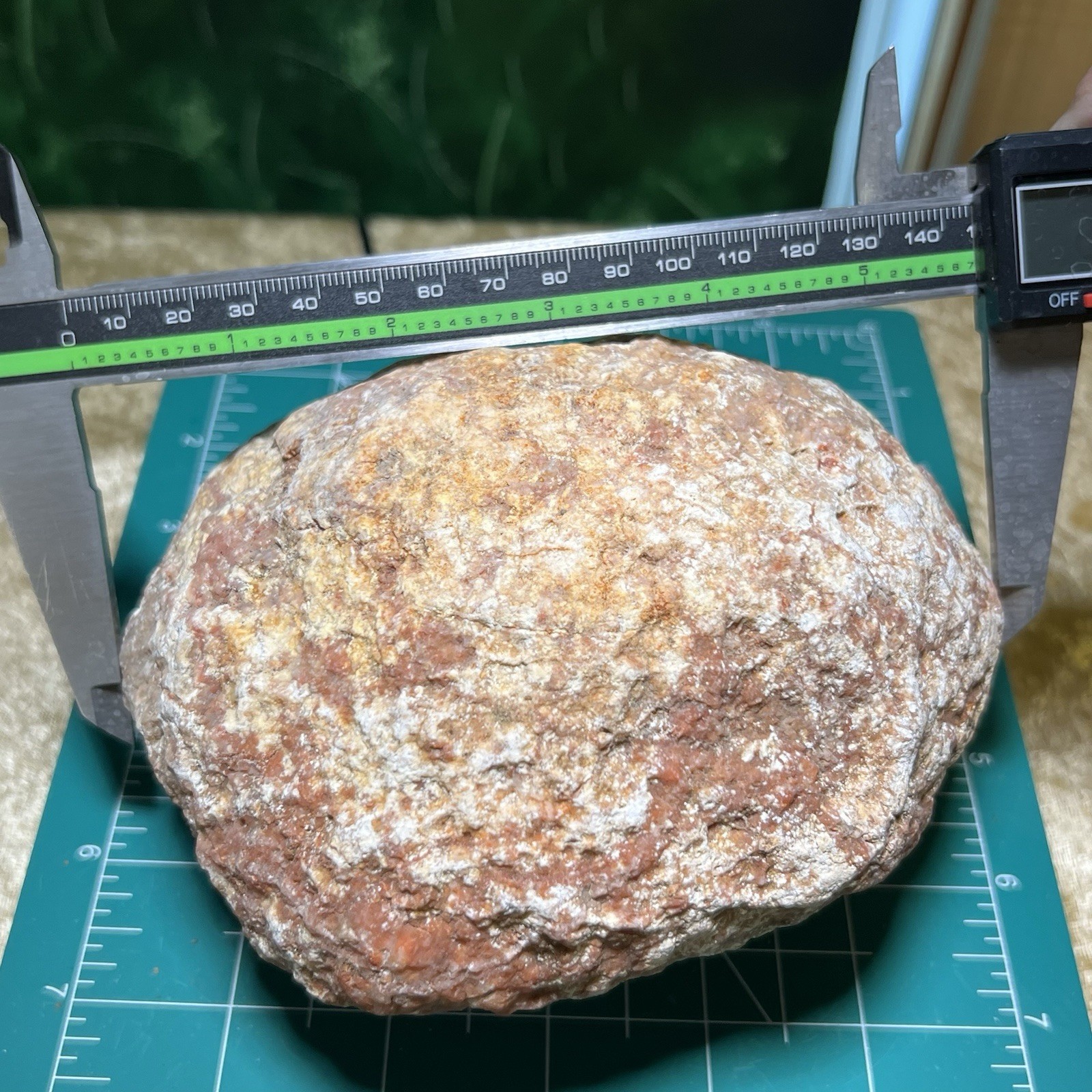 5-3/4″ Large Red Geode Uncut Unopened Crystal Chalcedony Quartz Rough 3.5Lb