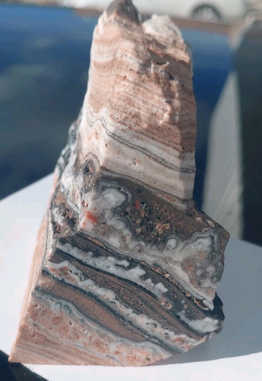 Zebra Calcite Self-Standing Display 1 1/4 Lb Dendritic Psychedelic Crisp Bands
