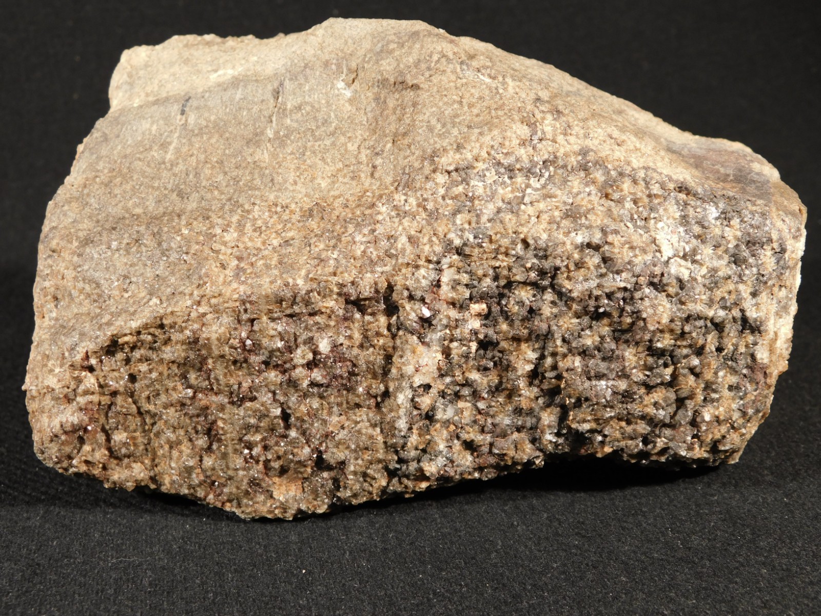 Big! Petrified Wood Fossil With SMOKY Quartz CRYSTALS Utah 2362gr