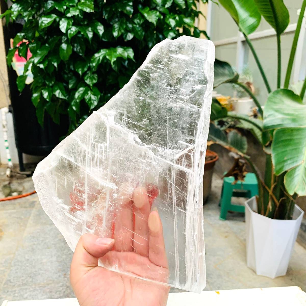 3.59LB Natural Clear Transparent Selenite Slab Gypsum Crystal Mineral Specimen