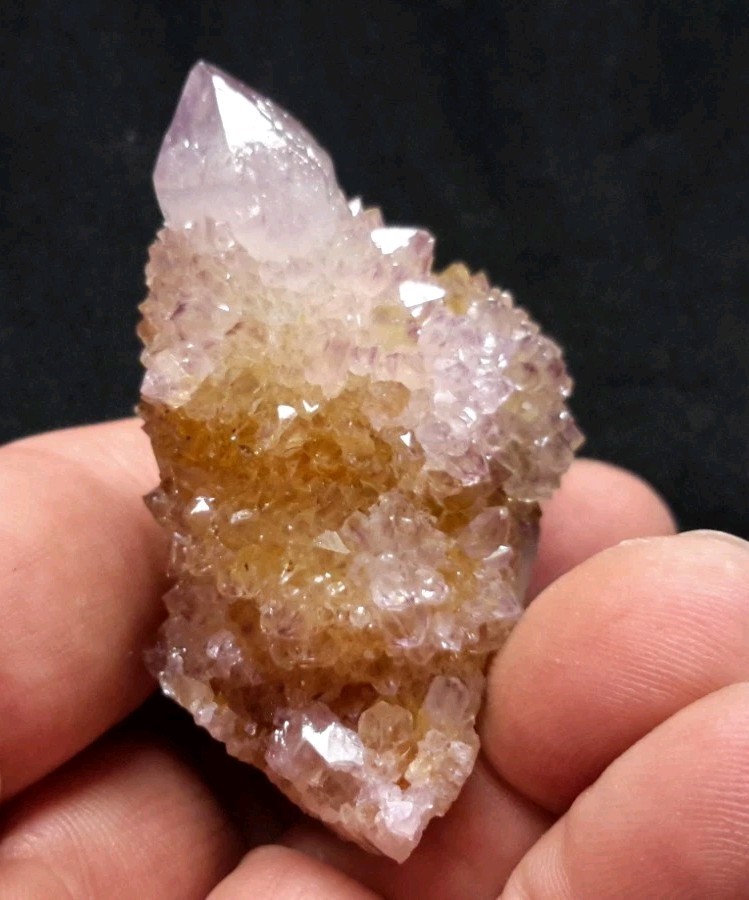 2″ CACTUS QUARTZ AMETHYST AMETRINE from Mpumalanga, South Africa