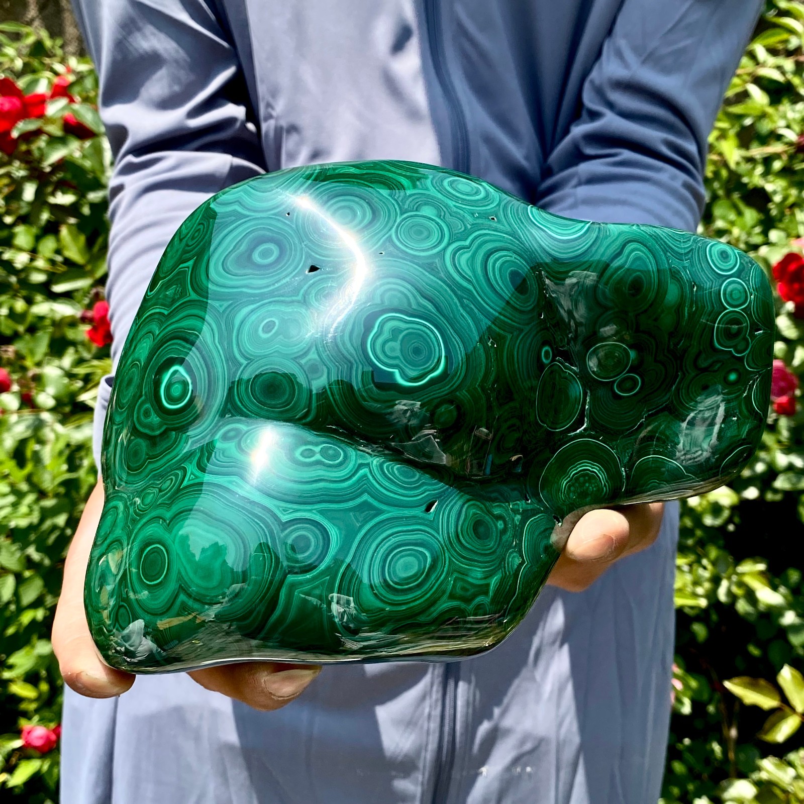 8.5LB Natural glossy Malachite egg transparent cluster rough mineral sample