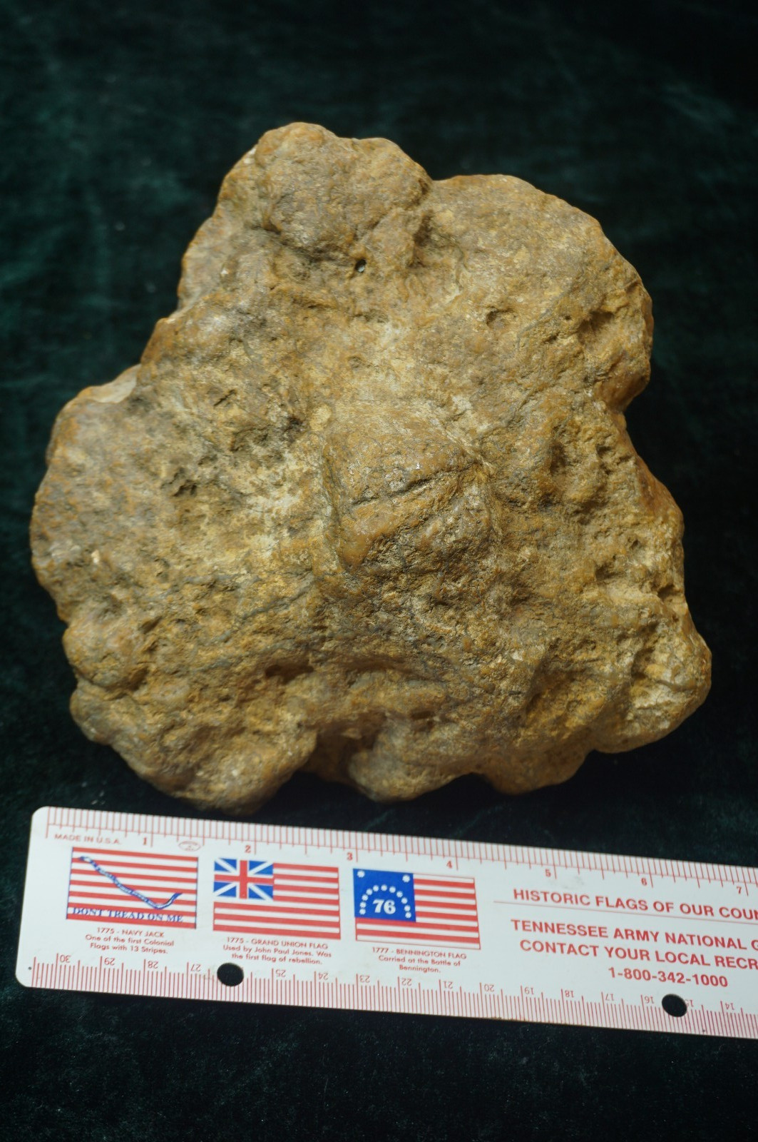Flying Saucer Kentucky Geode