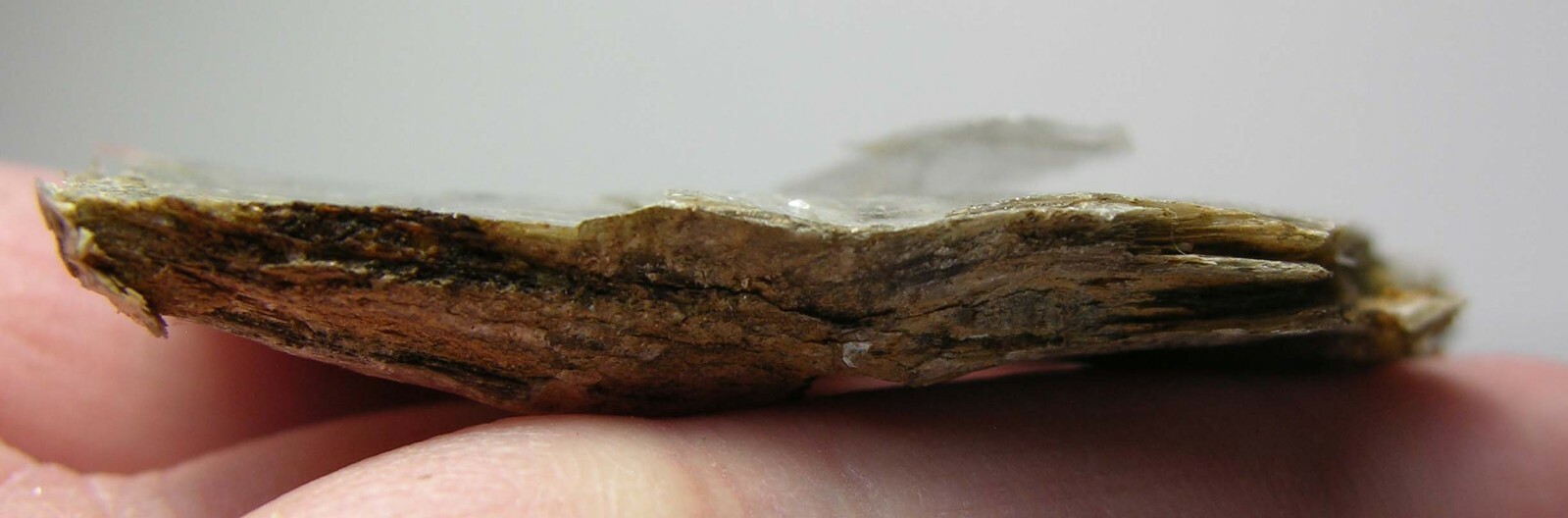 #7 Coastville Pa USA 2 15/16 in. 100% Natural Raw Silver Mica Specimen 75.00mm