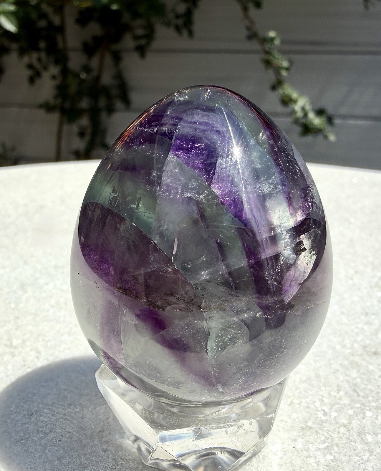 Wholesale Lot 8 Pcs Natural Fluorite Egg Crystal Healing Energy