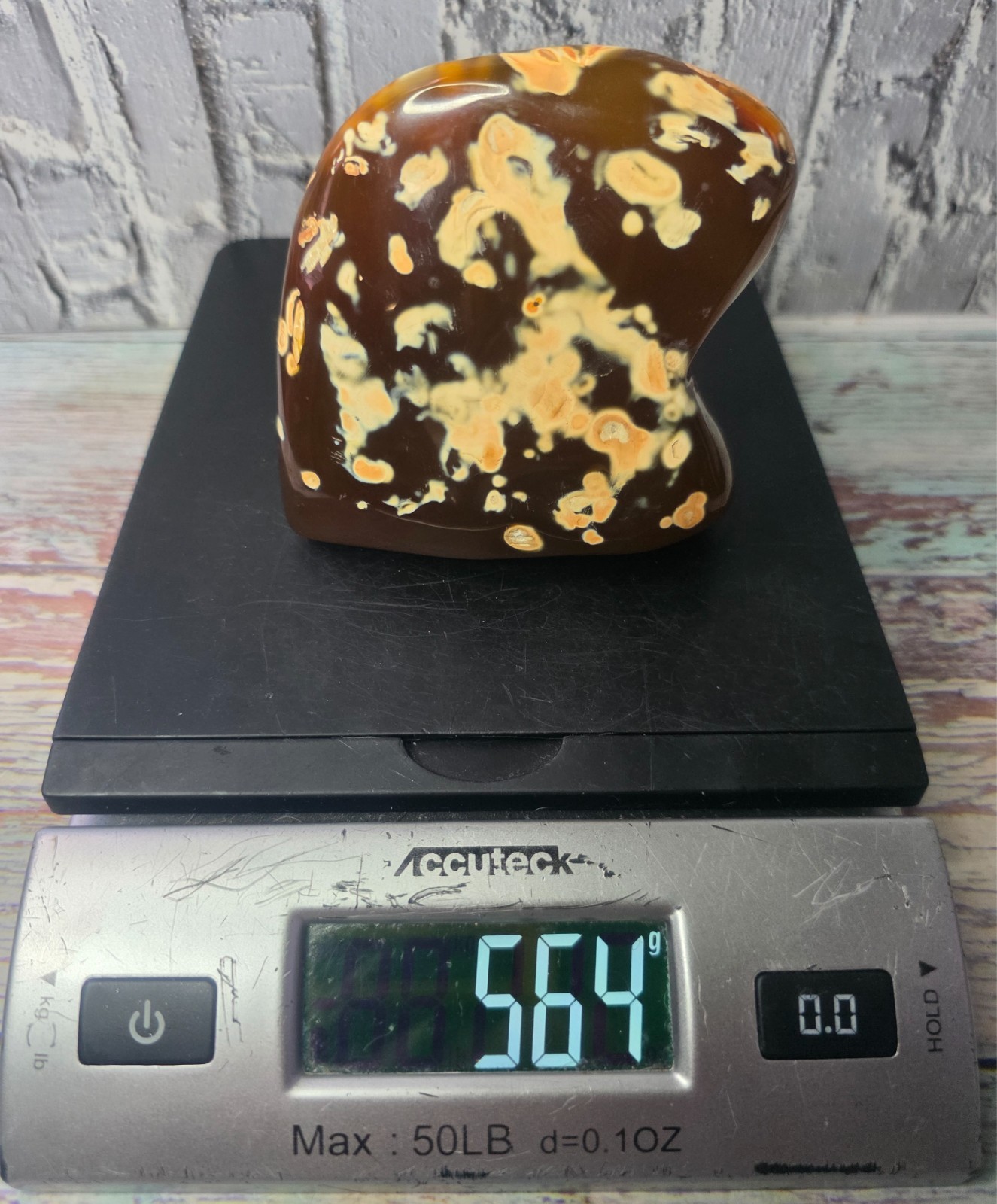 Large Rare Natural Amber Color Orca Agate Polished Freeform Translucent Color