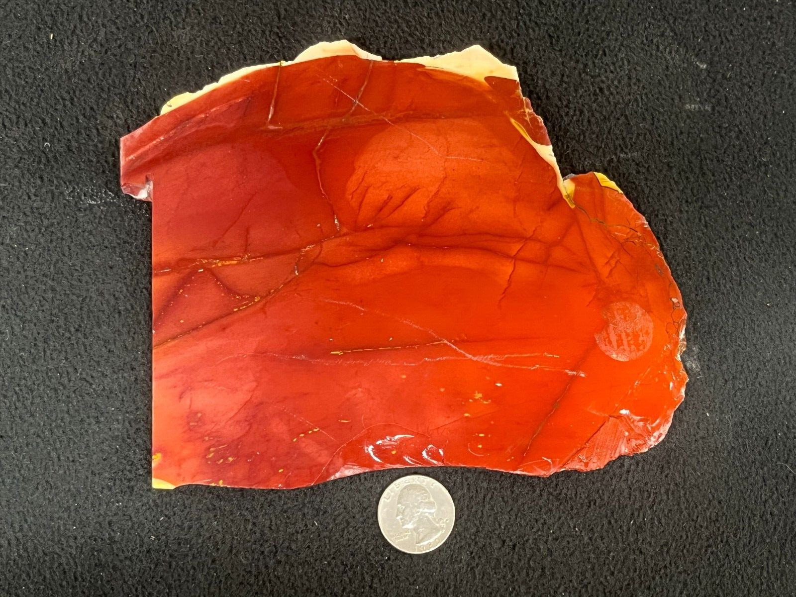 6-1/2″ x 5-1/8″ x 5/16″ Mookaite Jasper Slab Australia Red Cabbing Display