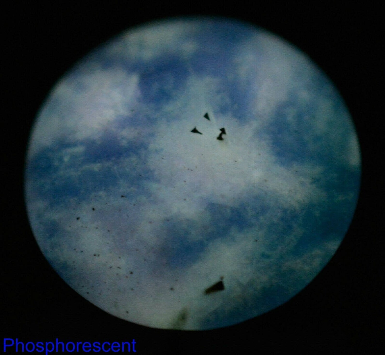 Mystery 14 Ct Fluorescent Phosphorescent Bi-Color Change Round Faceted Sodalite*