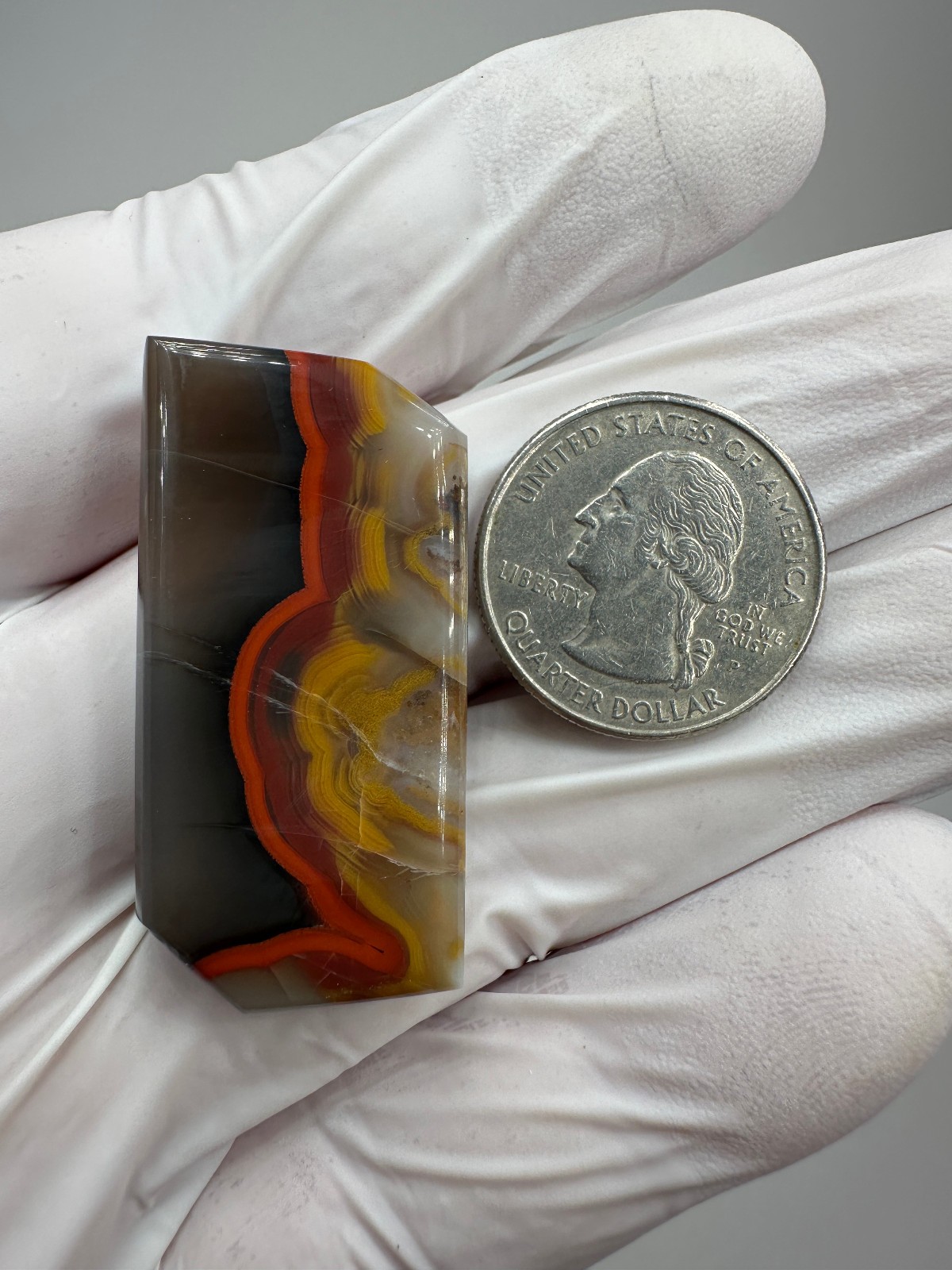 RARE ( 61 ct. ) Kentucky Agate Designer Cabochon from Estill County, Kentucky