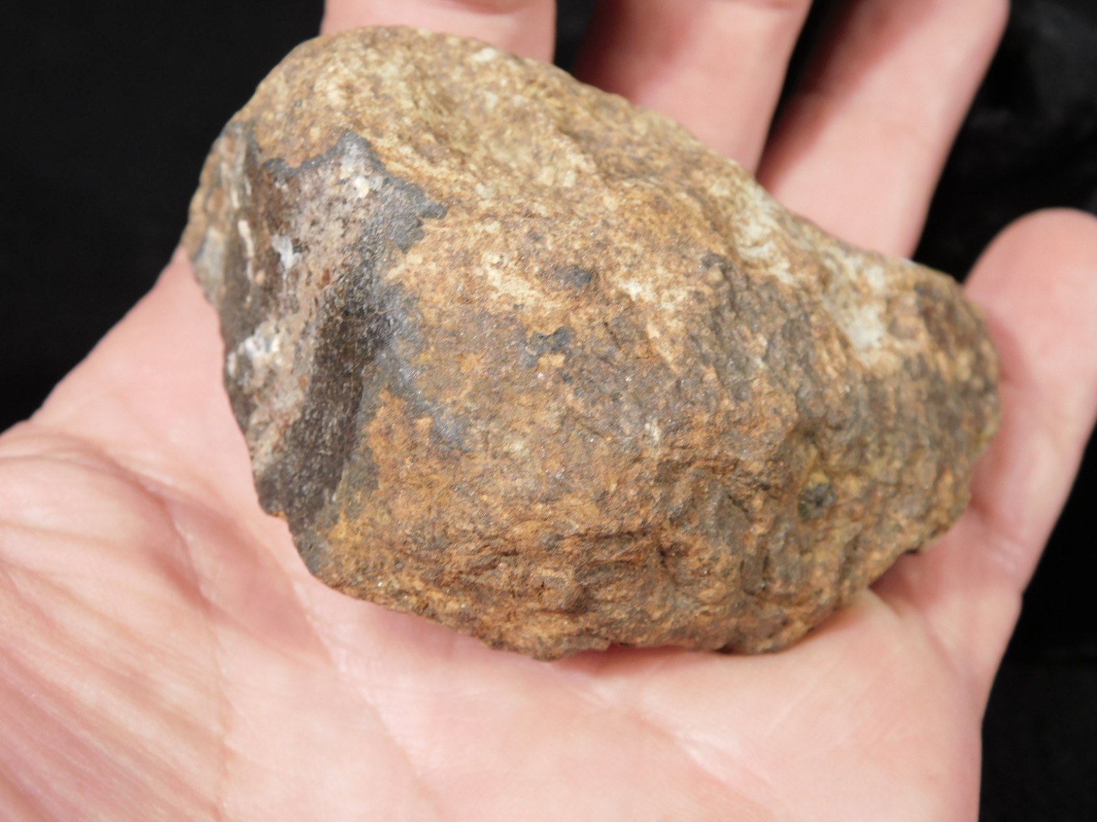 Larger Classified NWA 8245 METEORITE 100% Natural! Erfoud, Morocco 207gr