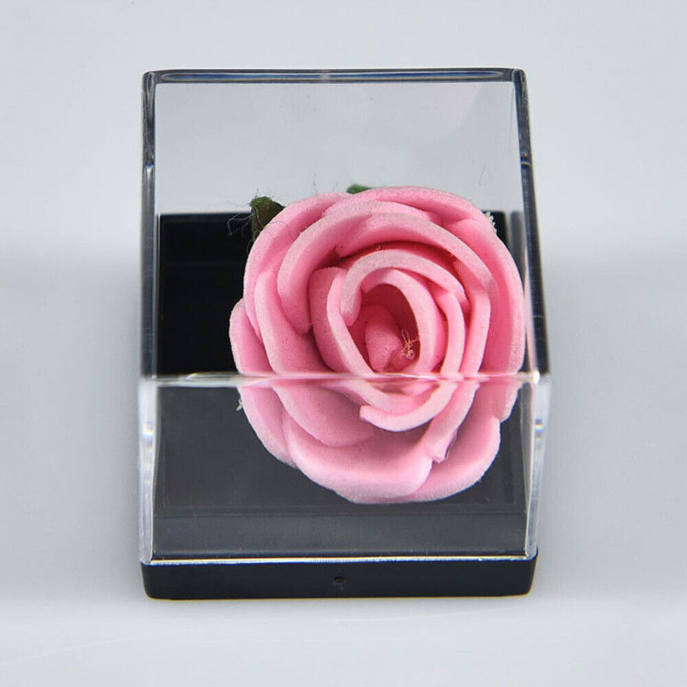 Mineral Display Specimen Box Rectangle Square Display Case Jewelry Organizer USA
