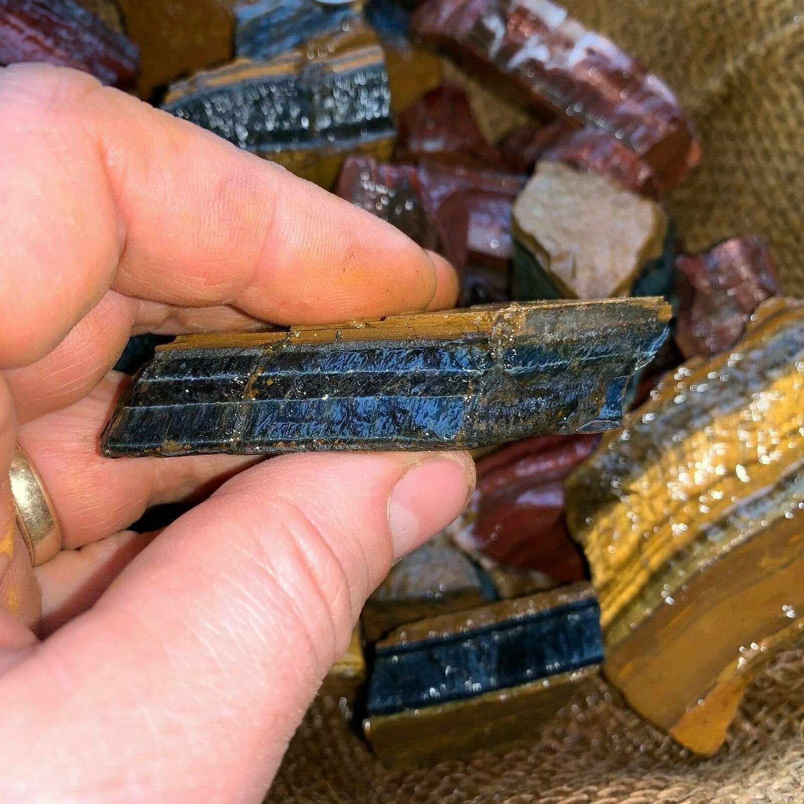 MIXED Tiger Eye Rough (RED, BLUE, GOLD)- 1000 Carat Lots+a FREE Faceted Gemstone