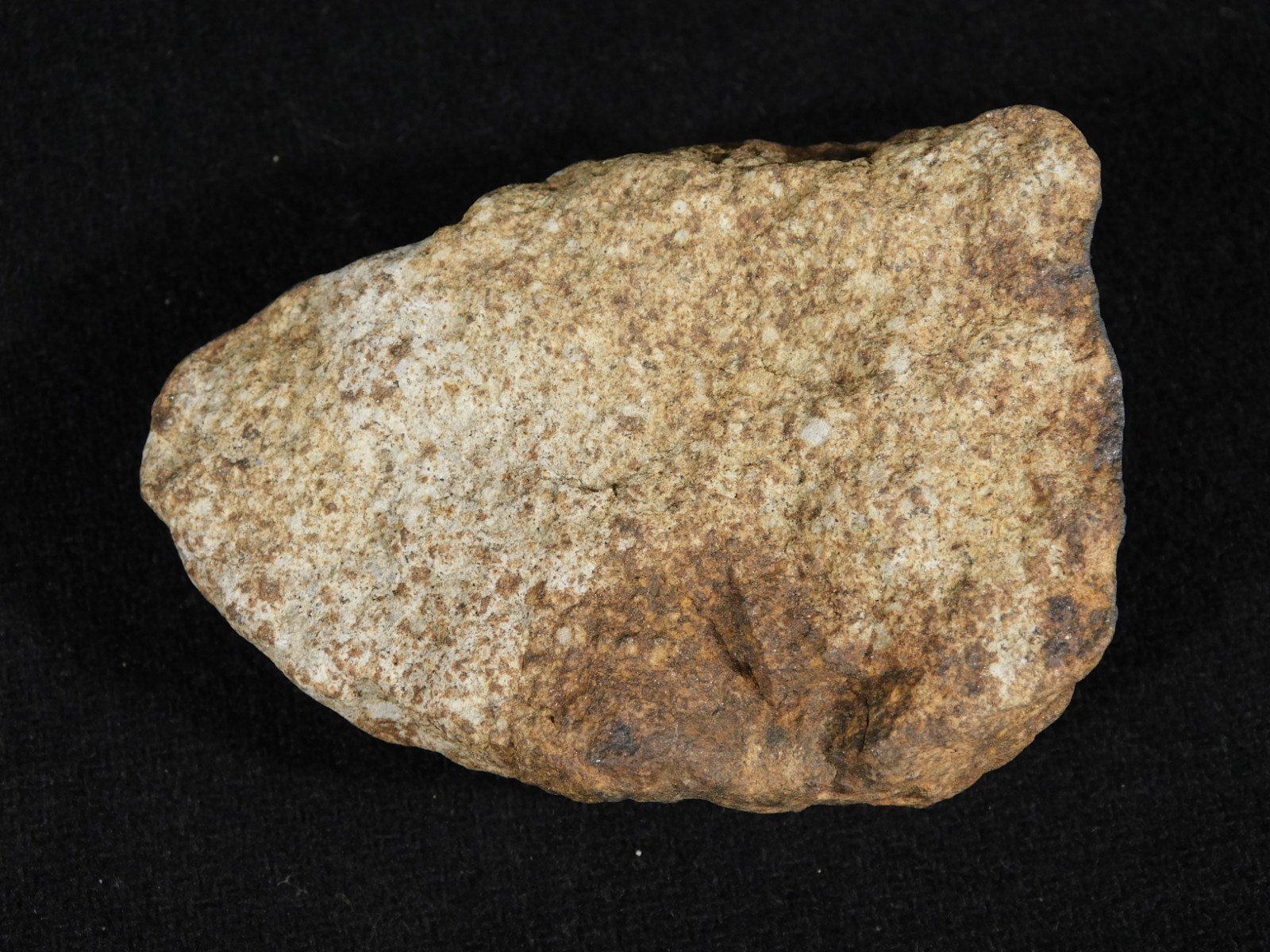 Larger Classified NWA 8245 METEORITE 100% Natural! Erfoud, Morocco 207gr