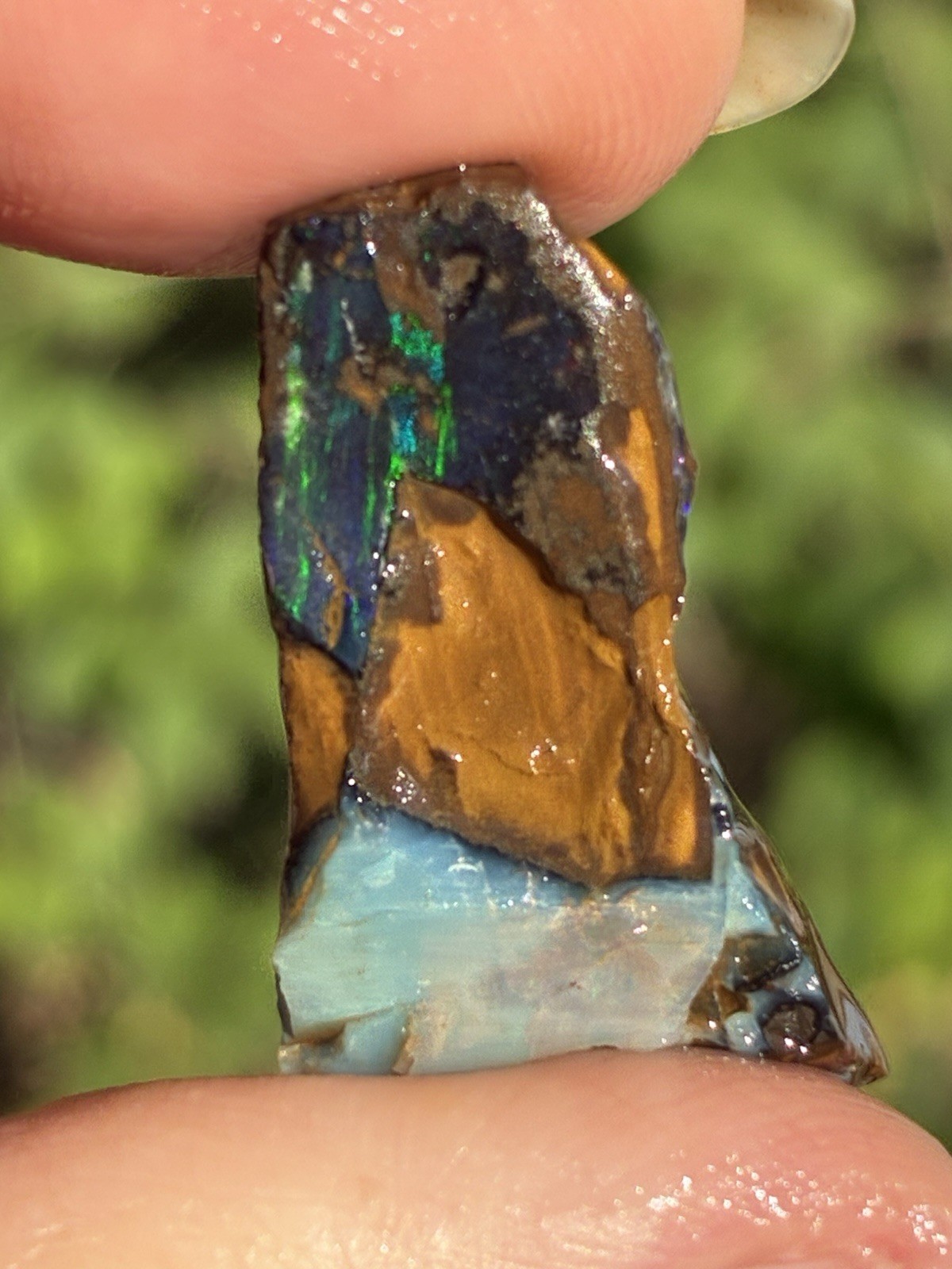 Pretty 24ct Australian Boulder Opal Rough Loose Multicolor Purple Specimen QQ