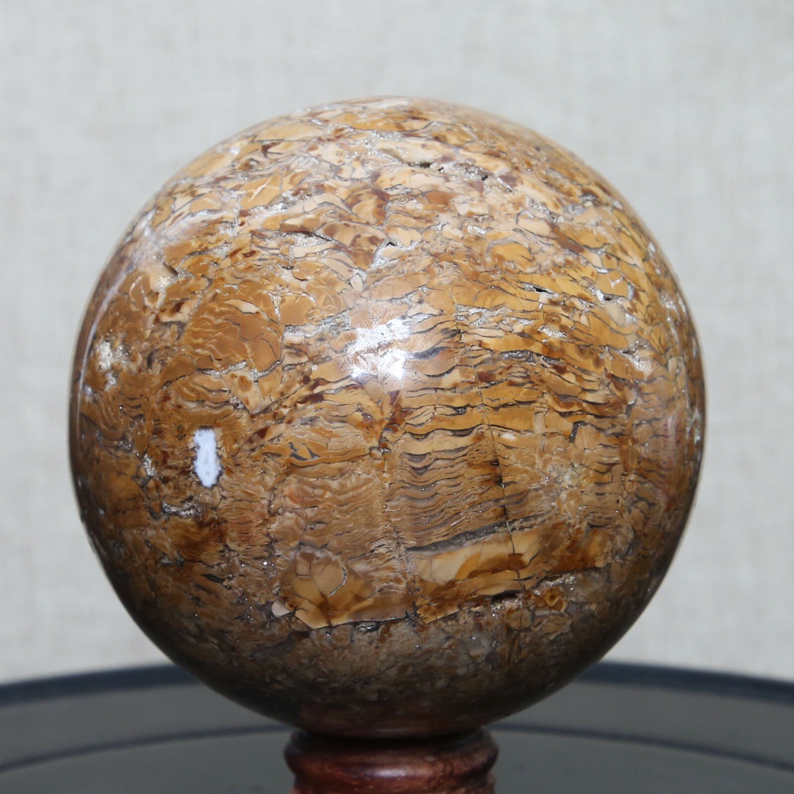 B8702-85mm-817g Amazing Natural Ocean Ibis Jasper Orbicular Sphere Reiki Crystal