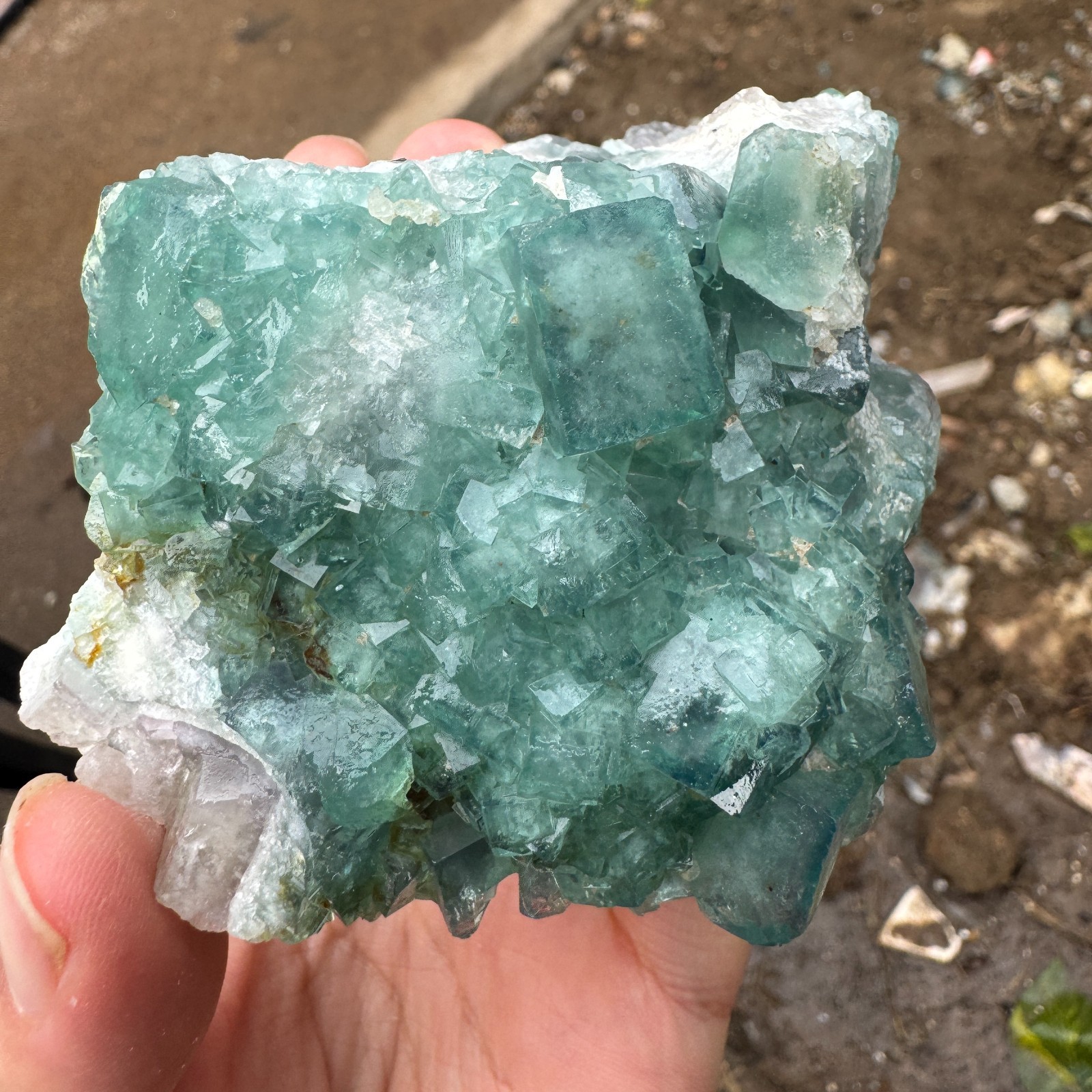 230G Natural cubic green fluorite crystal cluster rough mineral specimen Healing