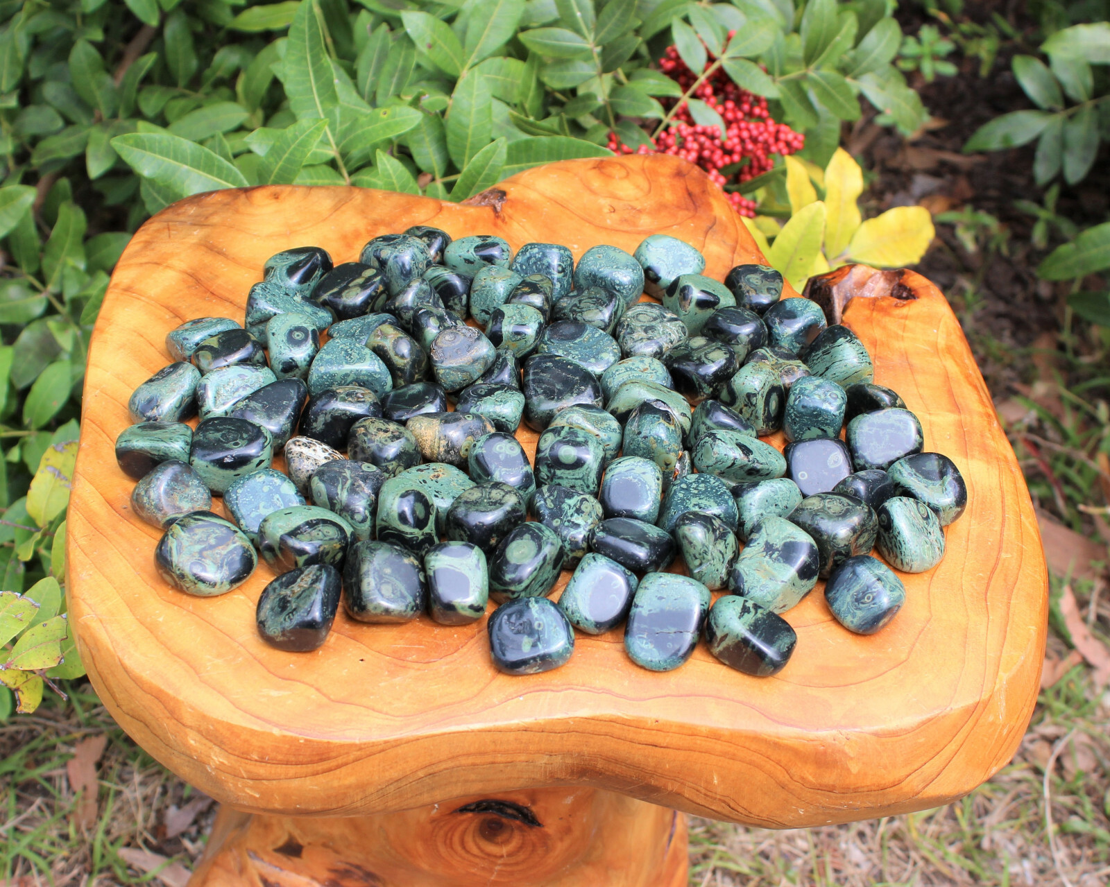 1/4 lb Bulk Lot Kambaba Jasper Tumbled Stone (Crocodile Jasper) 4 oz