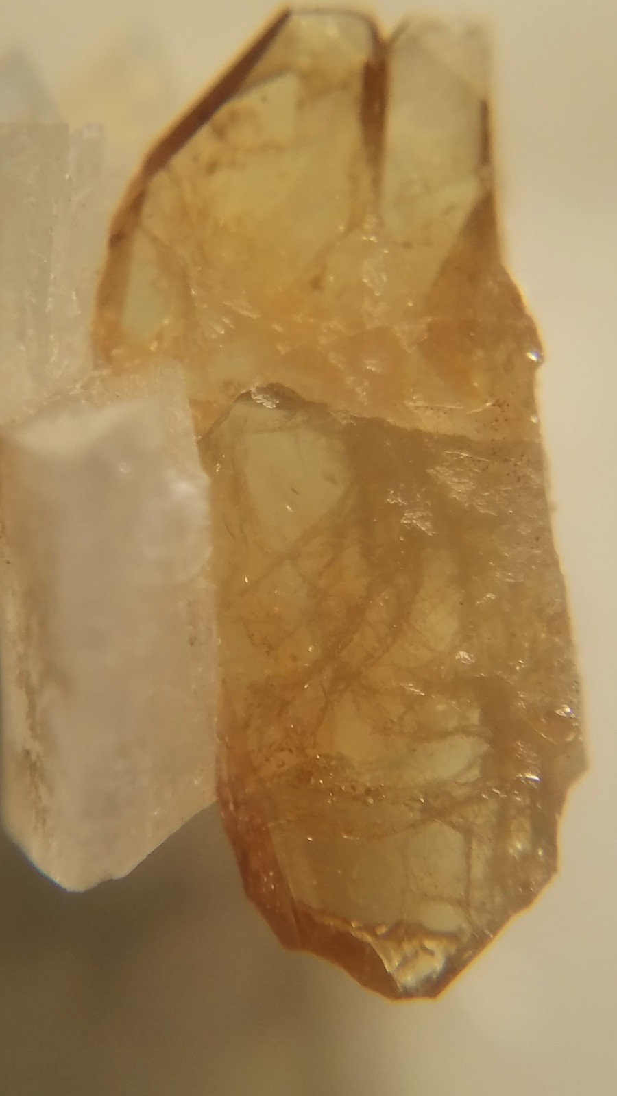 SiG: Lustrous Honey Golden Titanite Crystal on Adularia Cluster from Austria