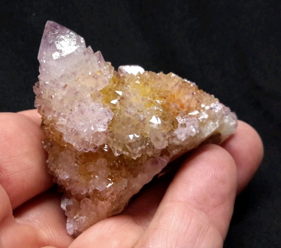 2″ CACTUS QUARTZ AMETHYST AMETRINE from Mpumalanga, South Africa