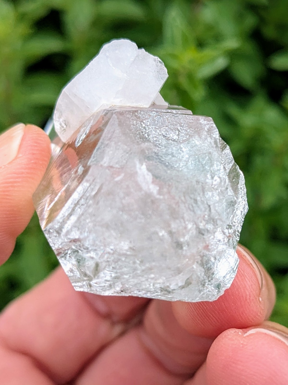 Lemurian Quartz Crystal – Penas Blancas, Colombia