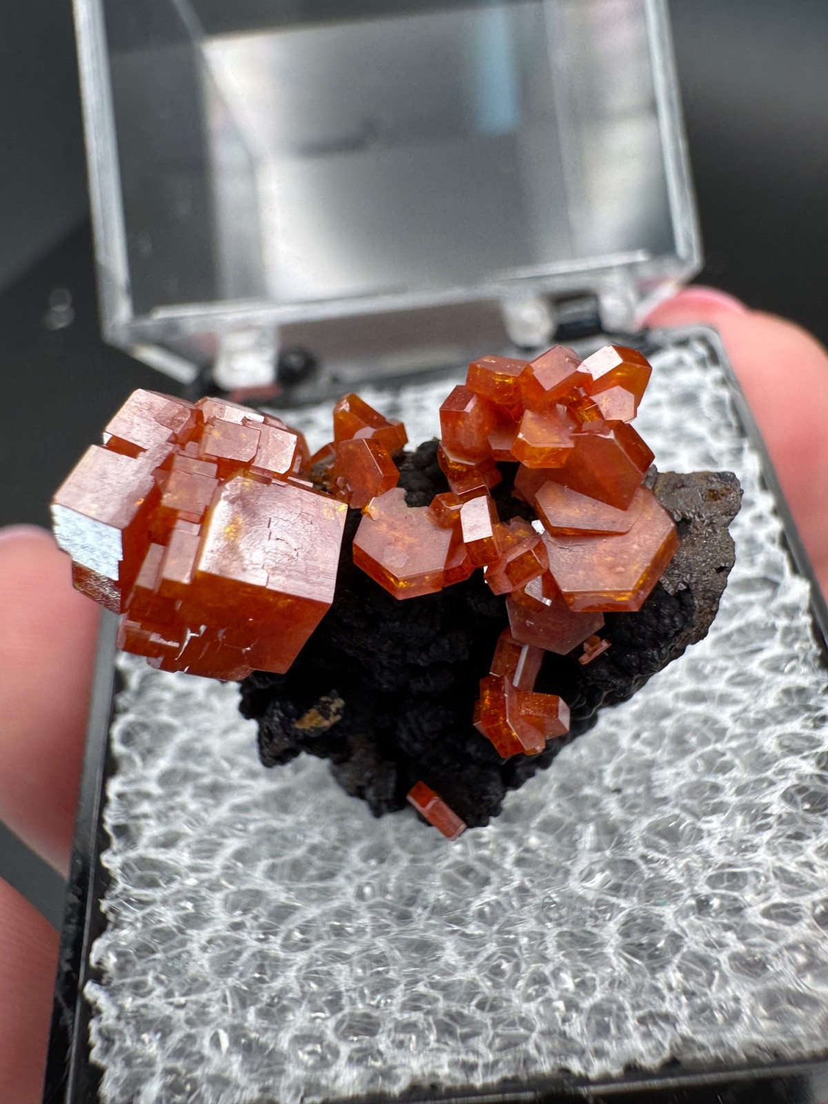 6786 Red Vanadinite on RARE Black Hematite Matrix in Perky Morocco