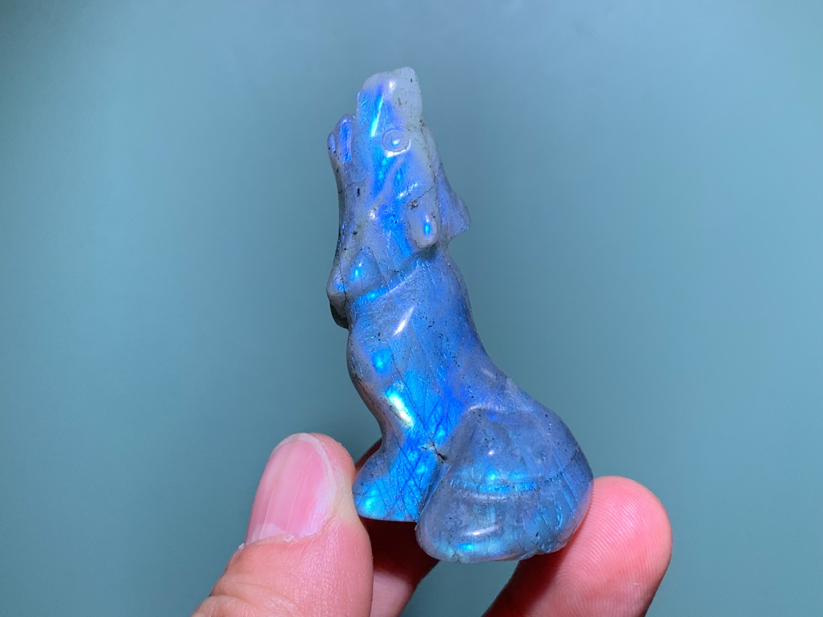 2.2”+ Natural Labradorite quartz crystal hand carved Crystal wolf skull 1pc