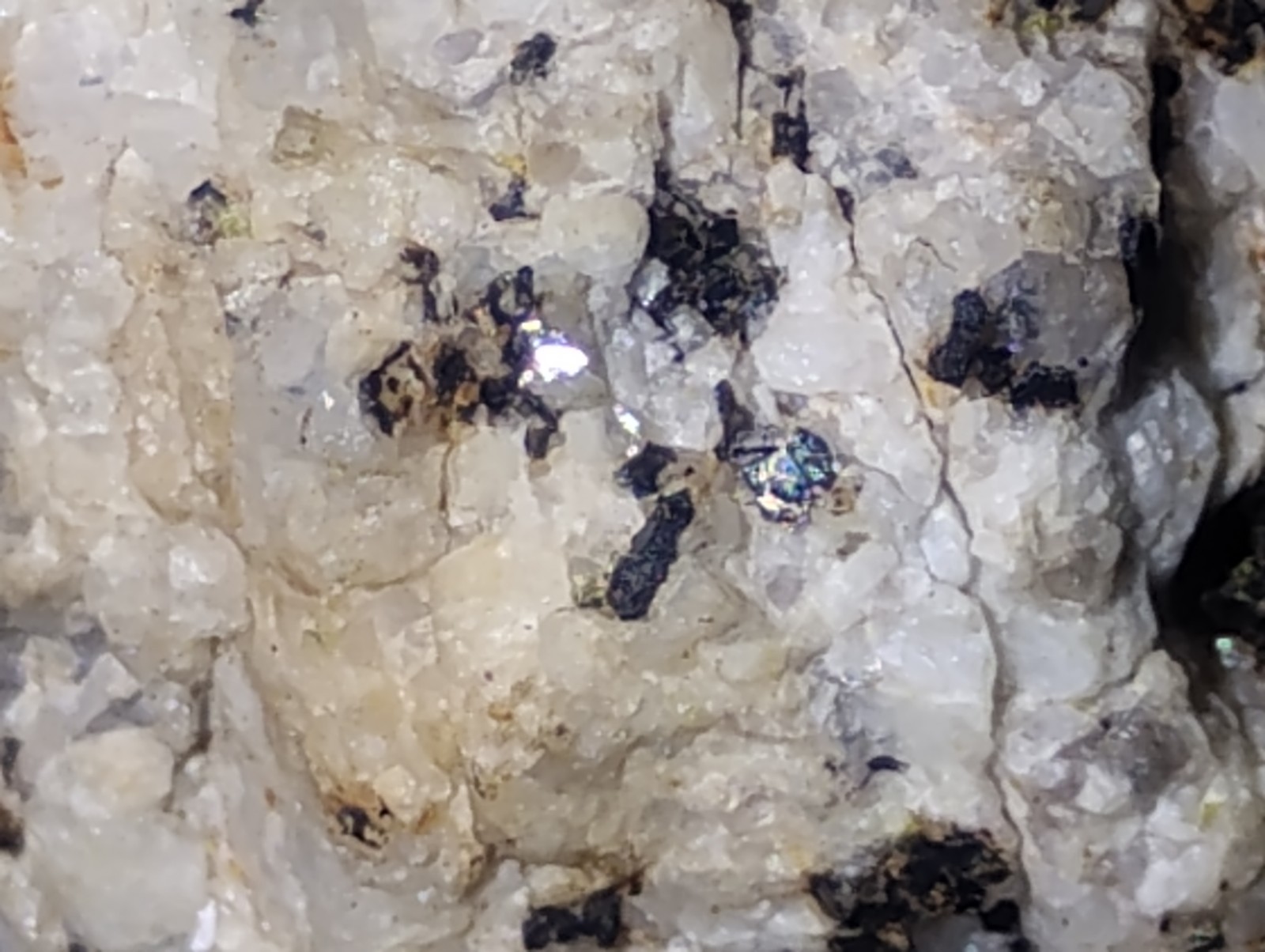 Polymetallic Ore Matrix Quartz, Pyrite & Silver/Black Sulfides – Blue Mountain?
