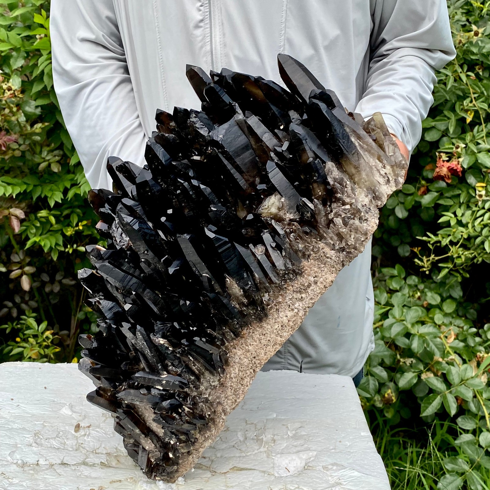 36.5LB New Find black PhantomQuartz Crystal Cluster Mineral Specimen