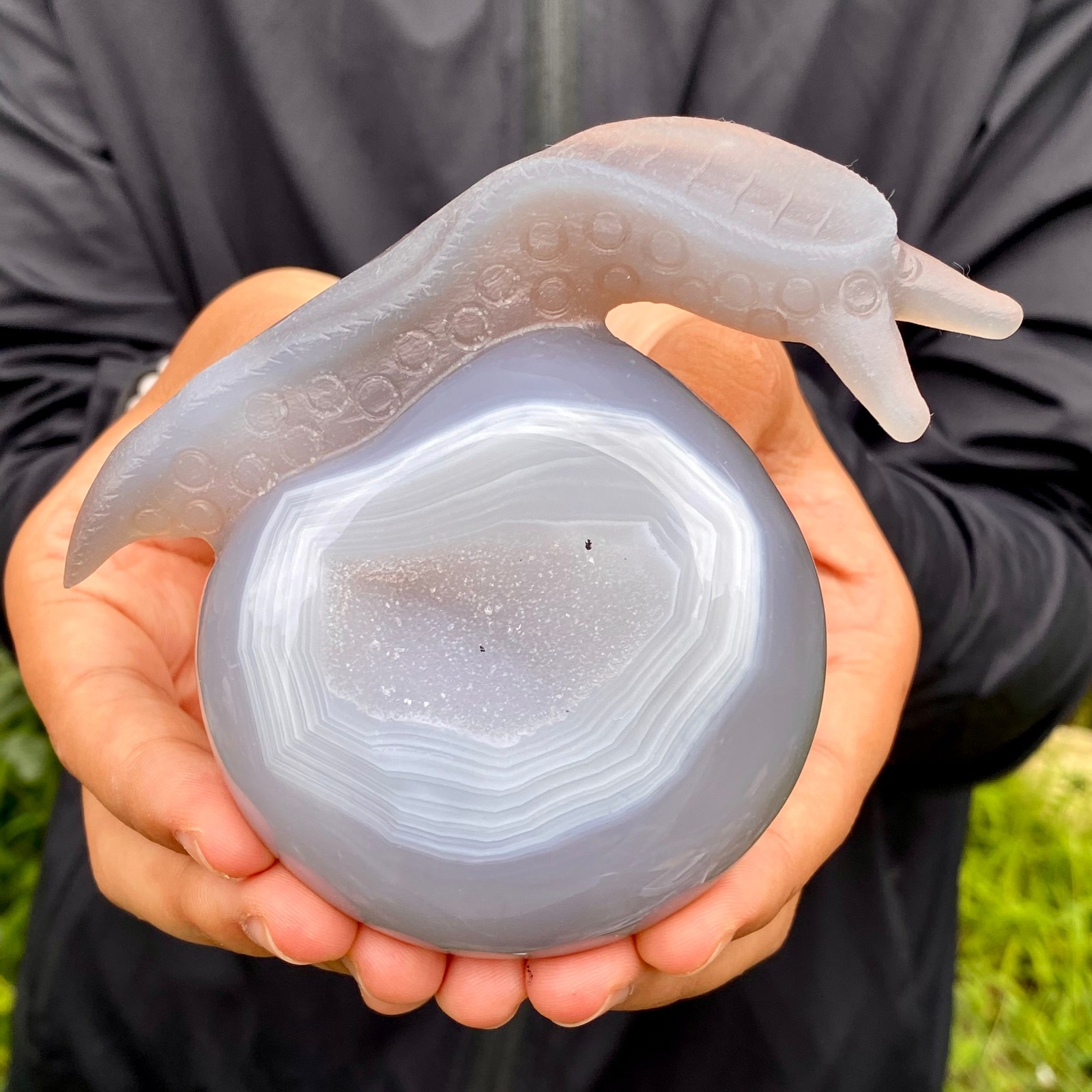 360G Natural Ocean Agate Snail Hand Carving Gemstone Ornament Home Decoration