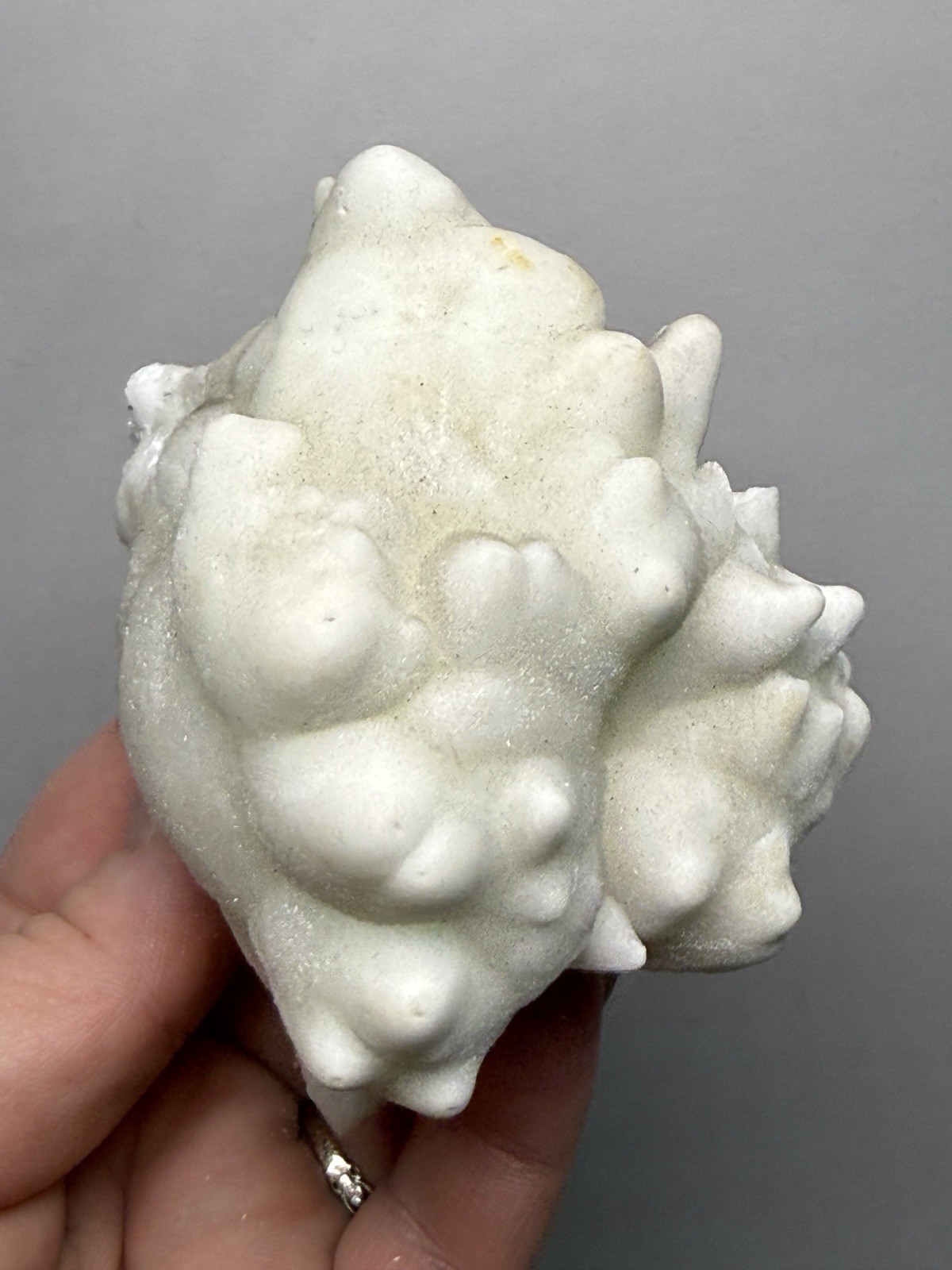 Superb White Flos Ferri Aragonite “Flower of Iron” | Lom Vitošov, Czech Republic